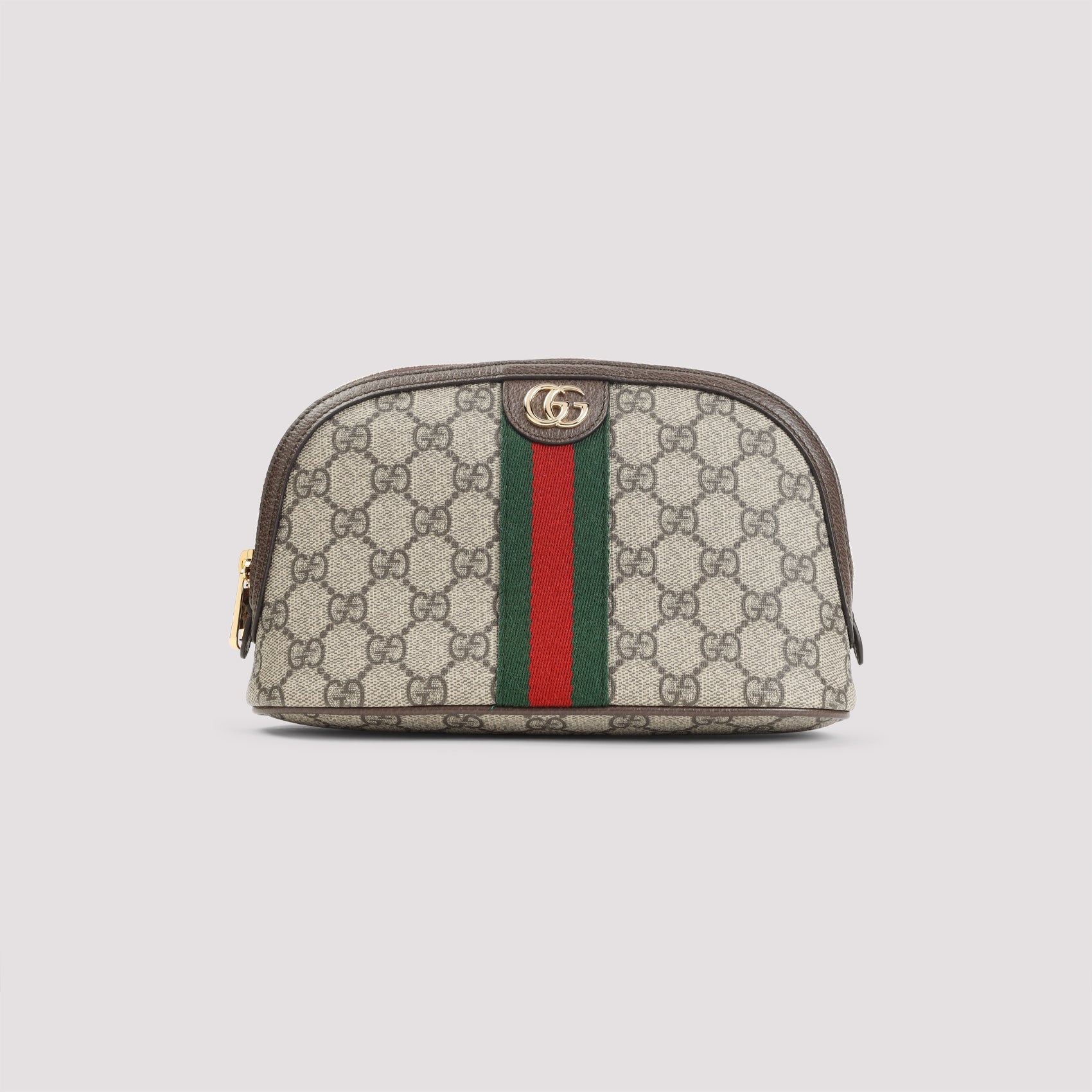 GUCCI Mini Ophidia Accessories Bag