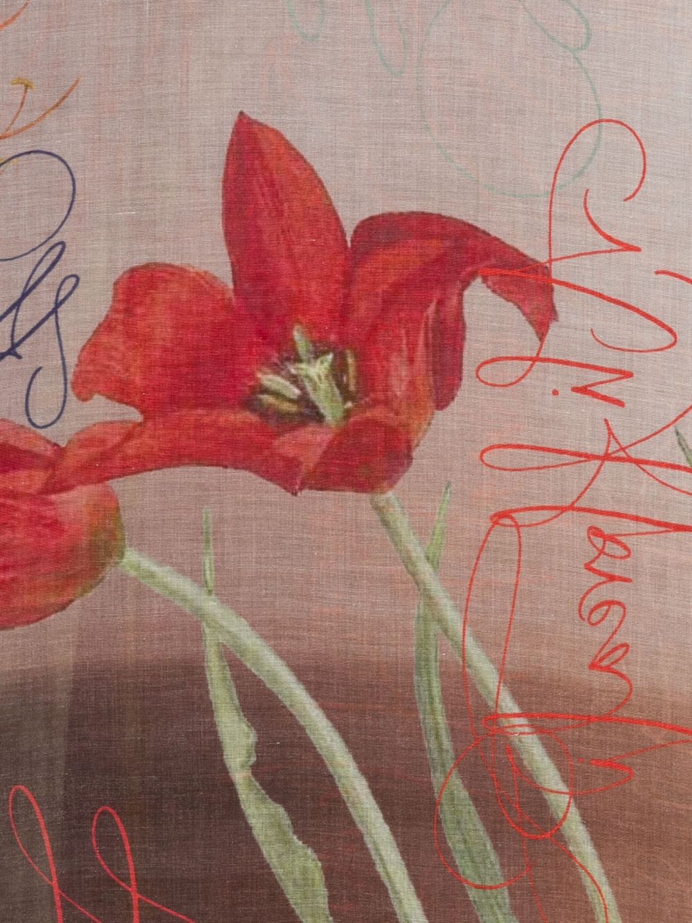 FALIERO SARTI Floral Print Stole with Calligraphy Details - Women’s Accessory