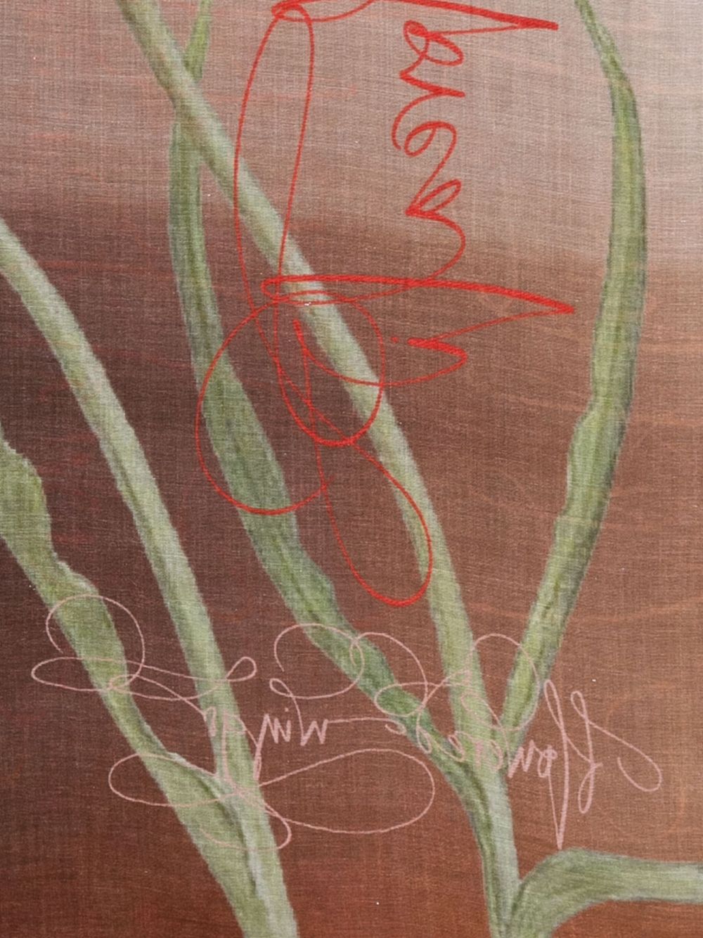 FALIERO SARTI Floral Print Stole with Calligraphy Details - Women’s Accessory