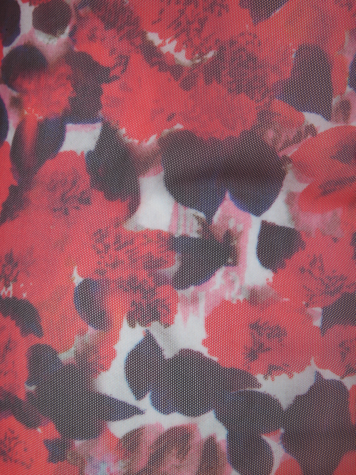 DRIES VAN NOTEN Stylish Women's T-Shirt with Unique Print