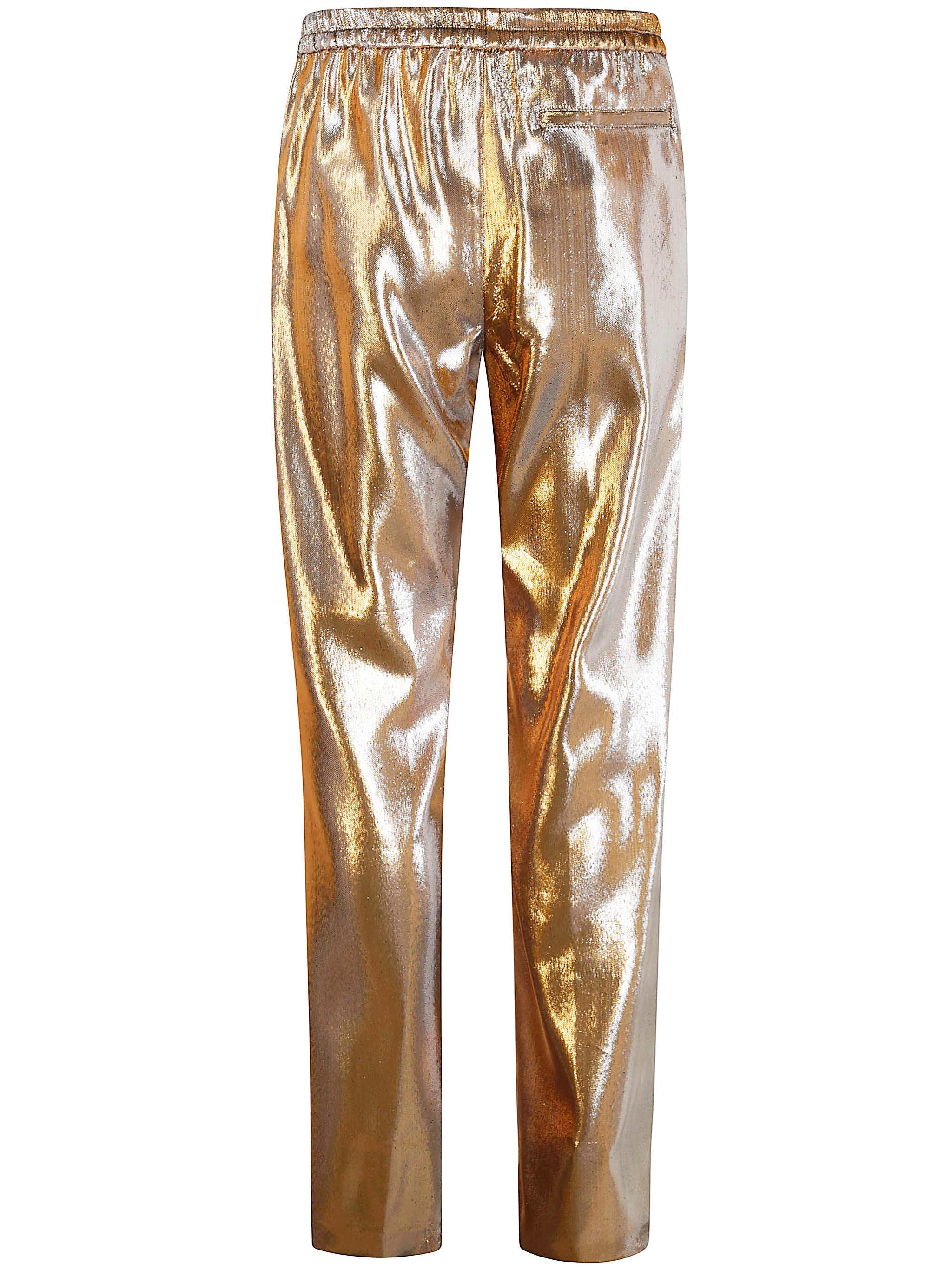 DRIES VAN NOTEN Metallic Trousers for Men - SS25