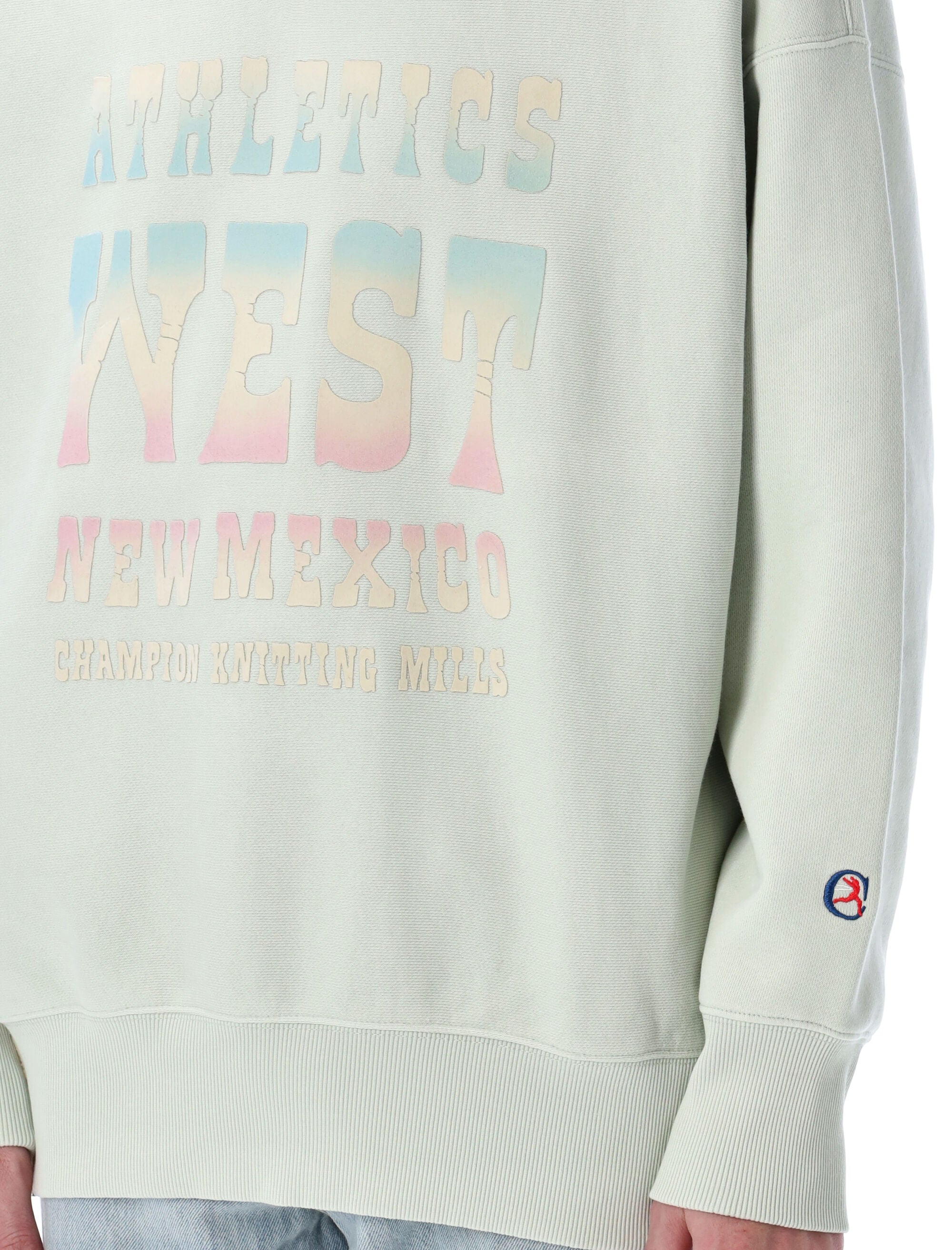 CHAMPION Archive Ghost Ranch Sweatshirt - Loose Fit for Men (L)