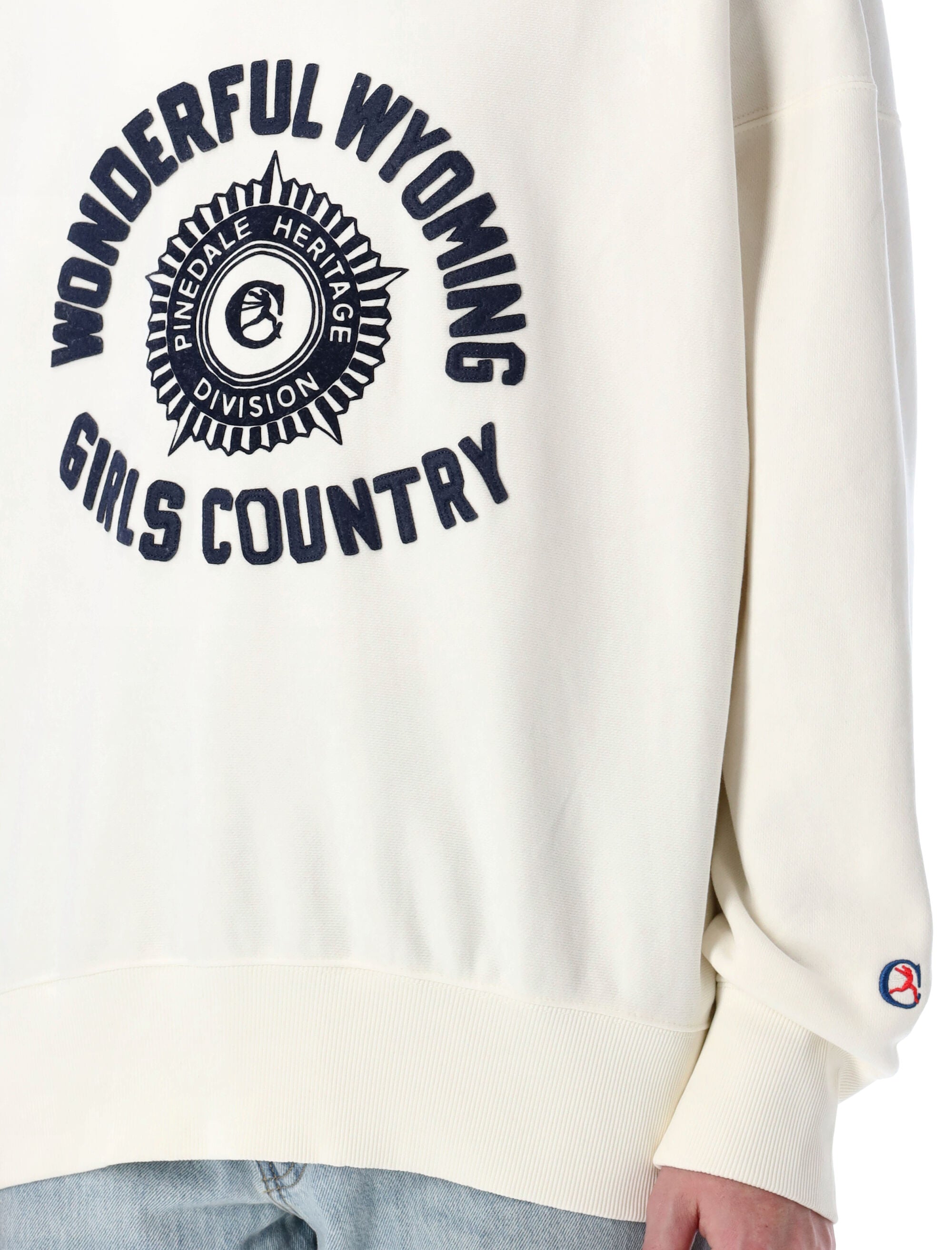 CHAMPION Loose Fit Crewneck Sweatshirt - Size L