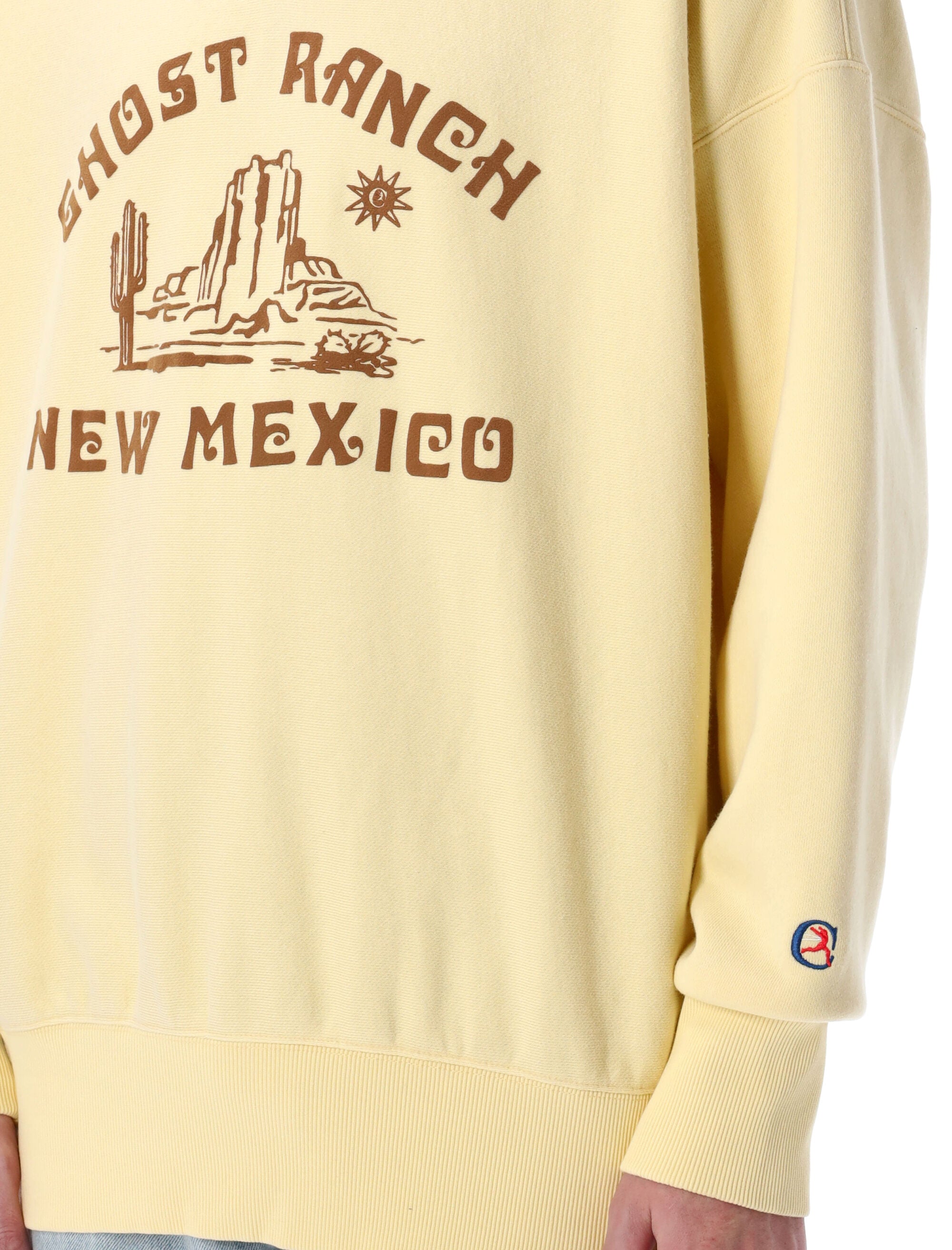 CHAMPION Ghost Ranch Crewneck Sweatshirt - Loose Fit for Men