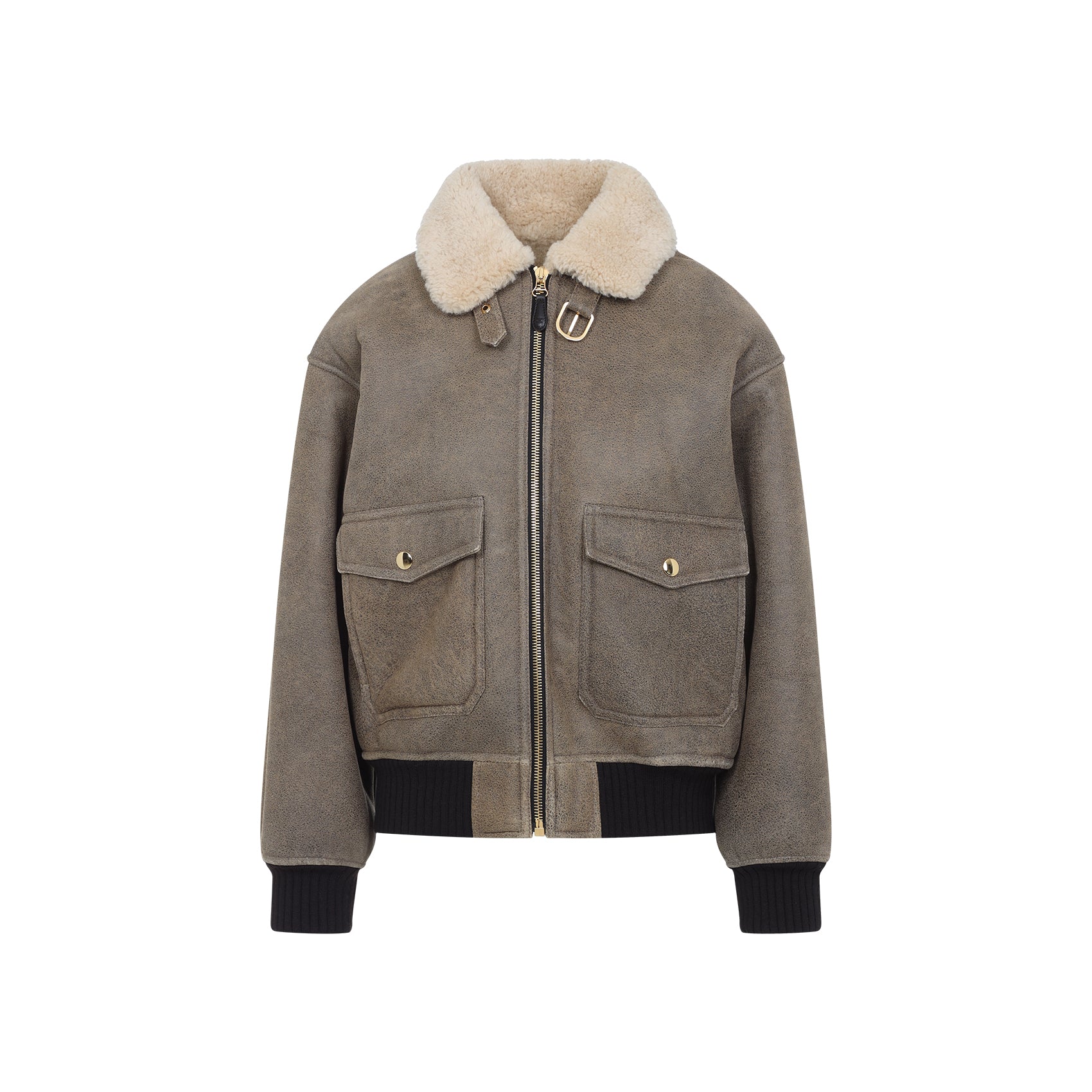 CELINE Aviator Embroidered Blouson Jacket