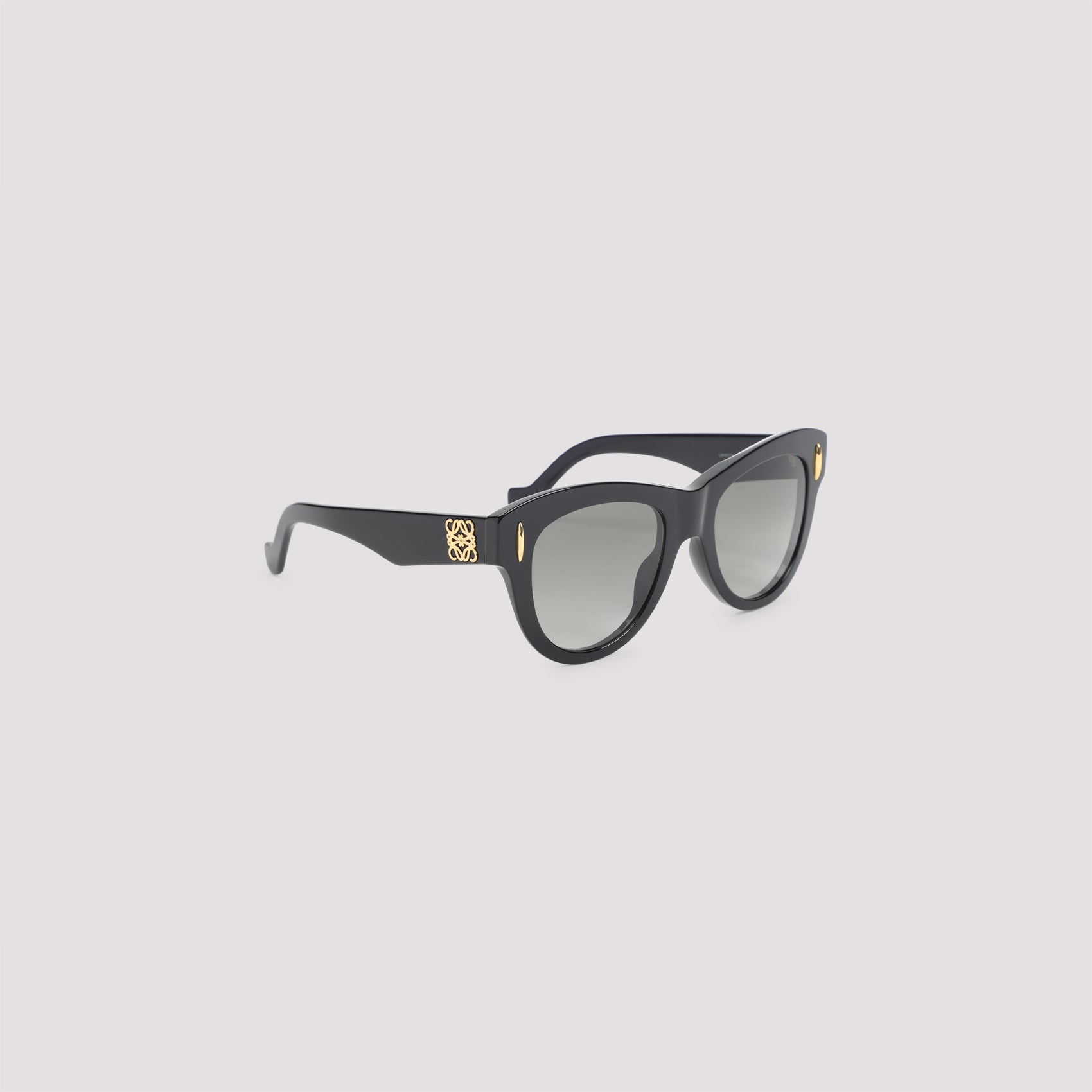 LOEWE EYEWEAR Vintage Screen Sunglasses