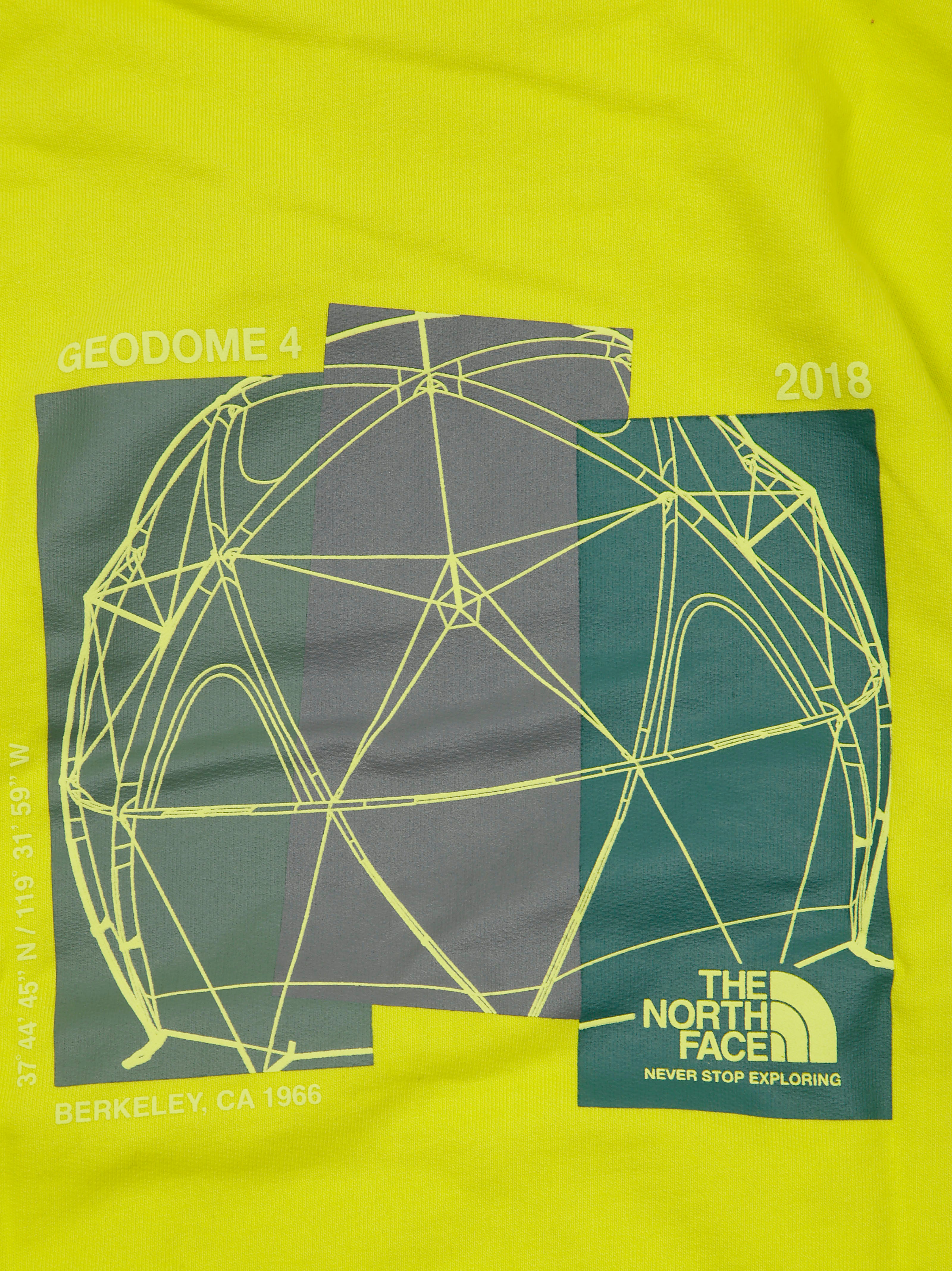 THE NORTH FACE Graphic Relaxed Hoodie for Kids