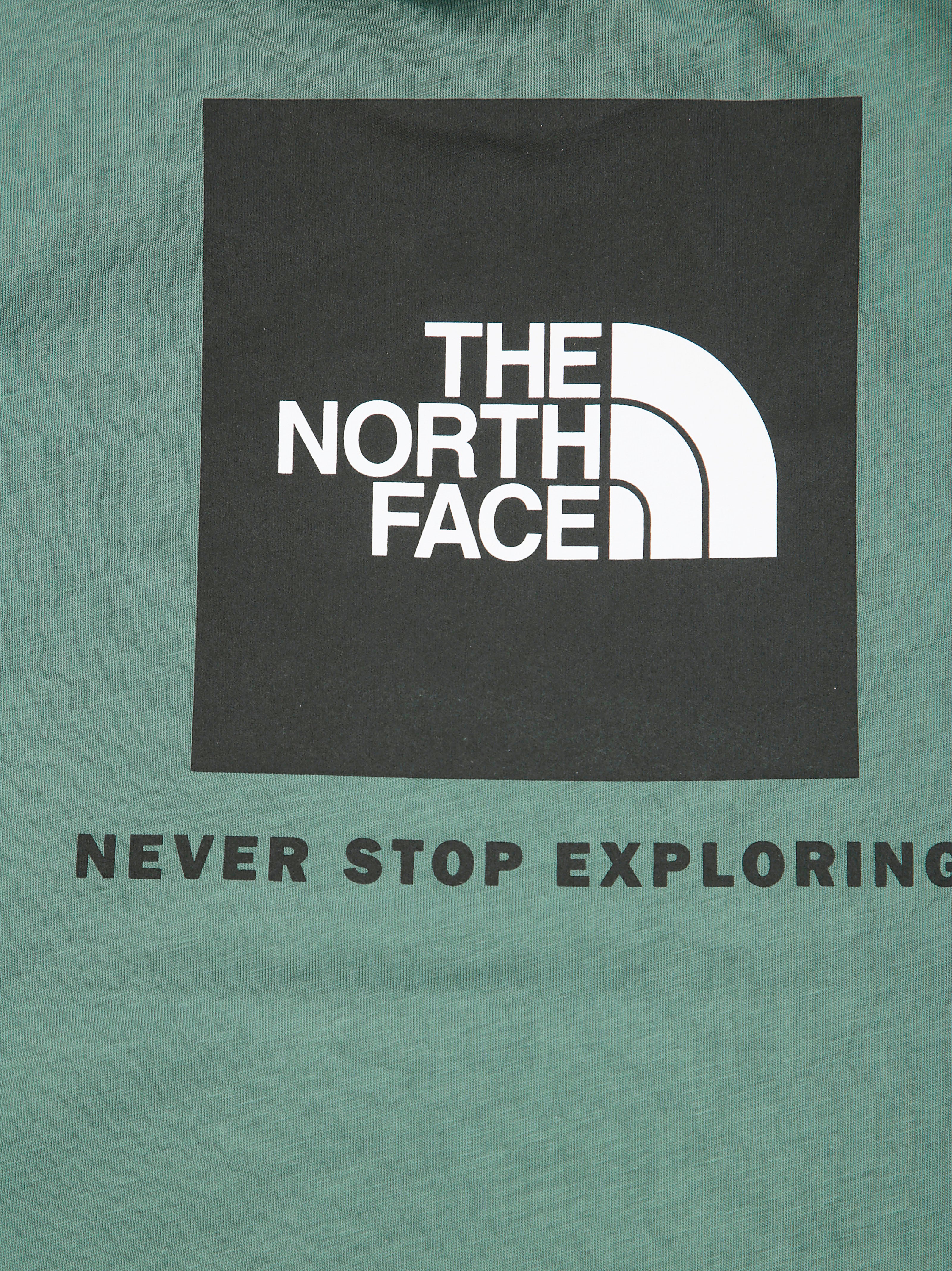 THE NORTH FACE Mini Box NSE Short Sleeve Tee