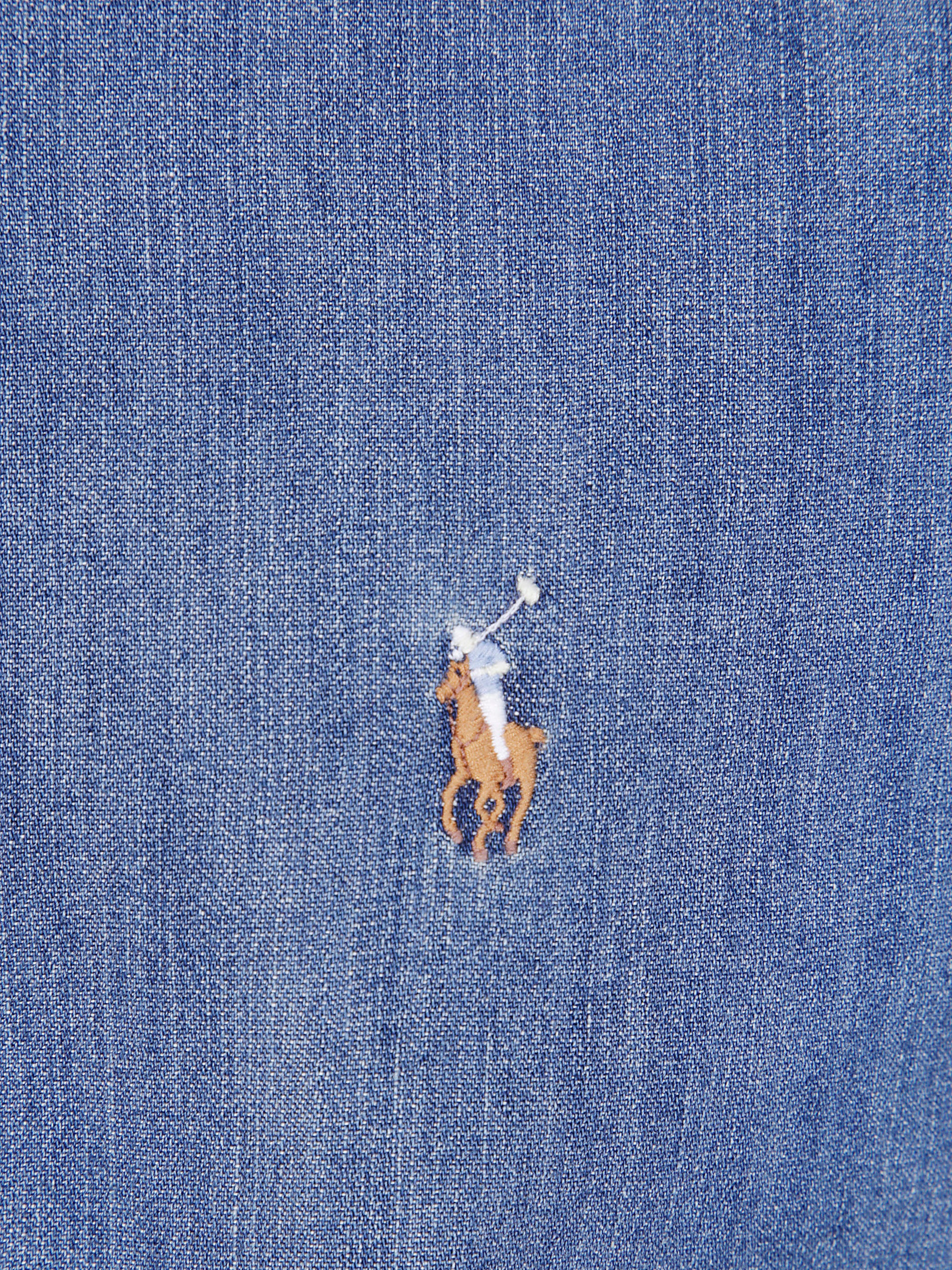 POLO RALPH LAUREN Men's Long Sleeve Sport Shirt