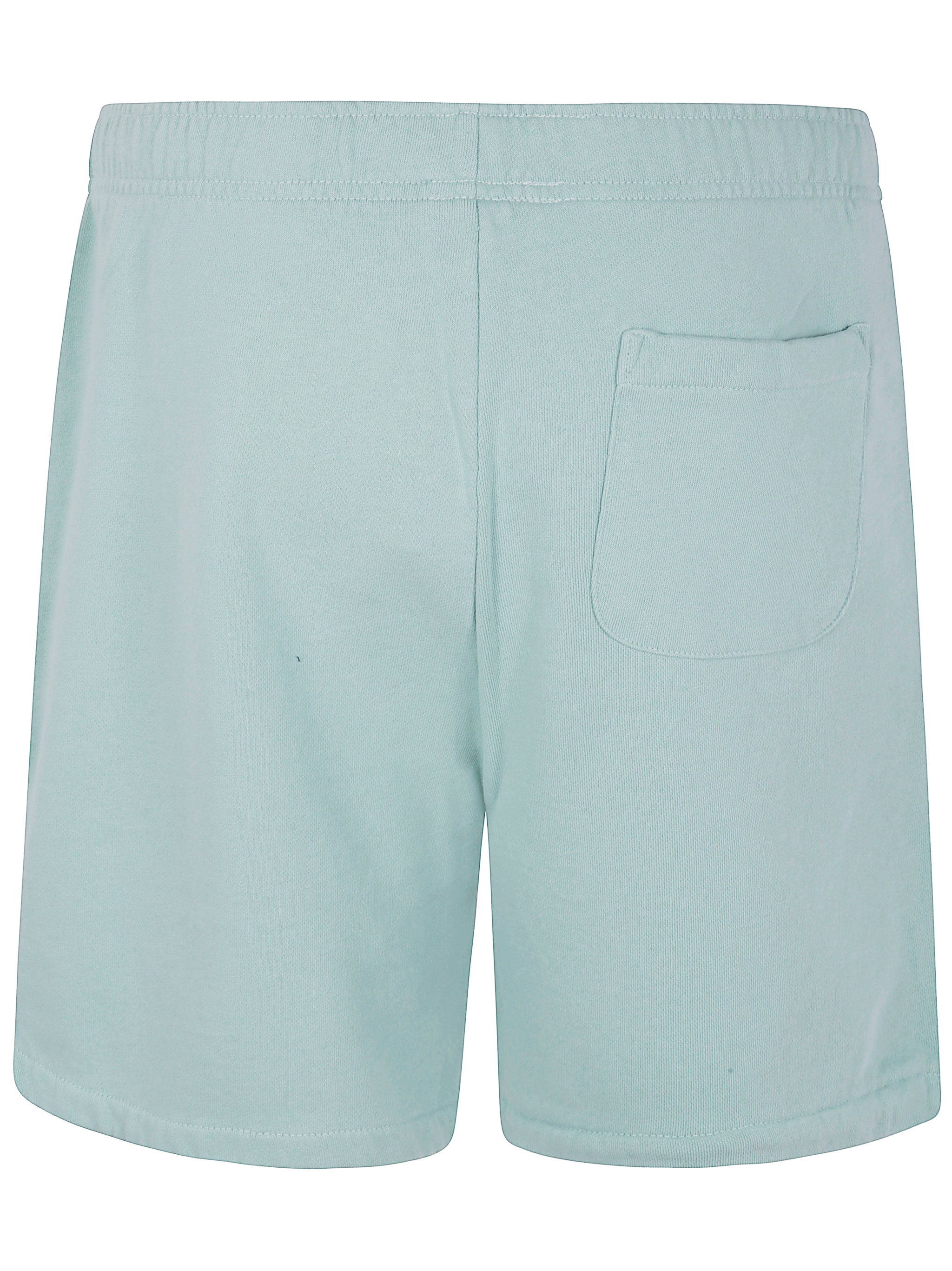 POLO RALPH LAUREN Athletic Mini Pants for Men