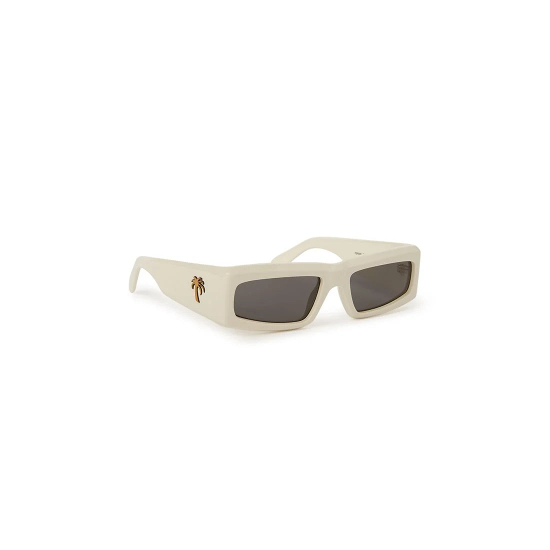 PALM ANGELS Modern Classic Sunglasses for Men