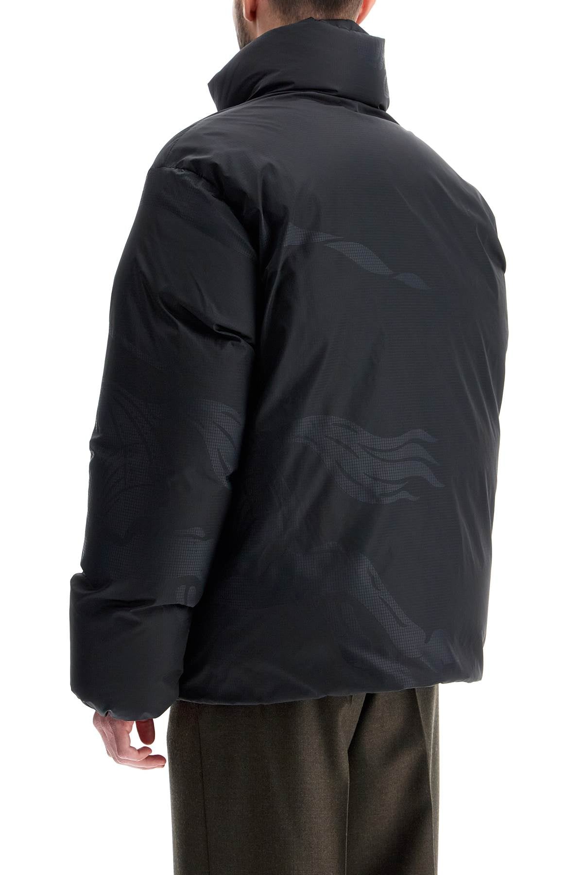 BURBERRY Men's Down Jacket - Fall/Winter Collection