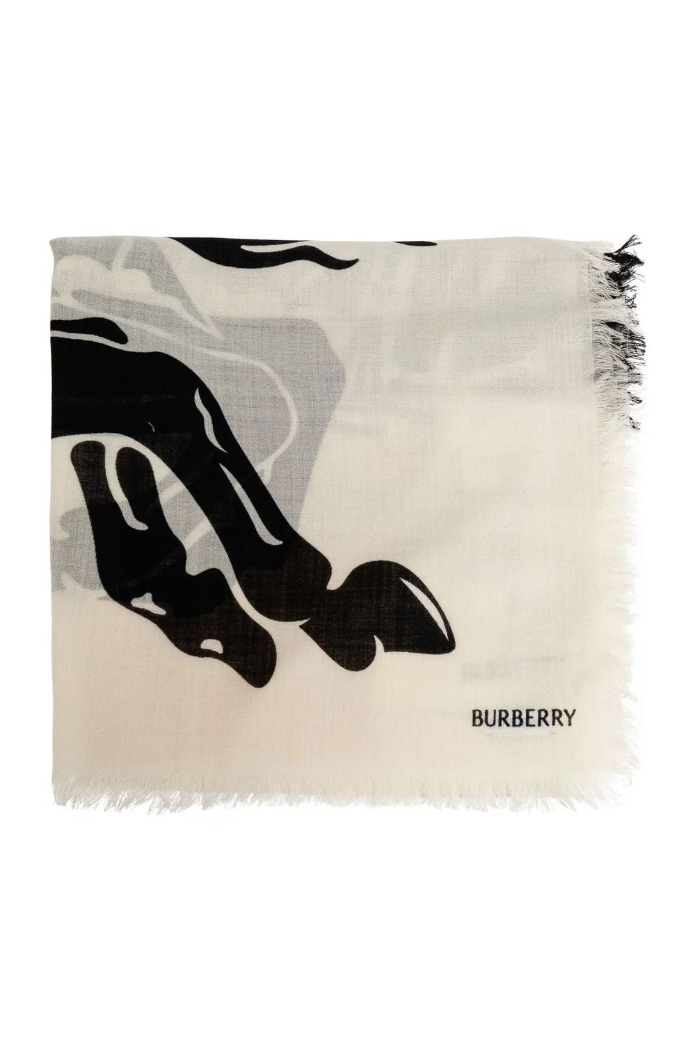 BURBERRY Large Winter Scarf for All