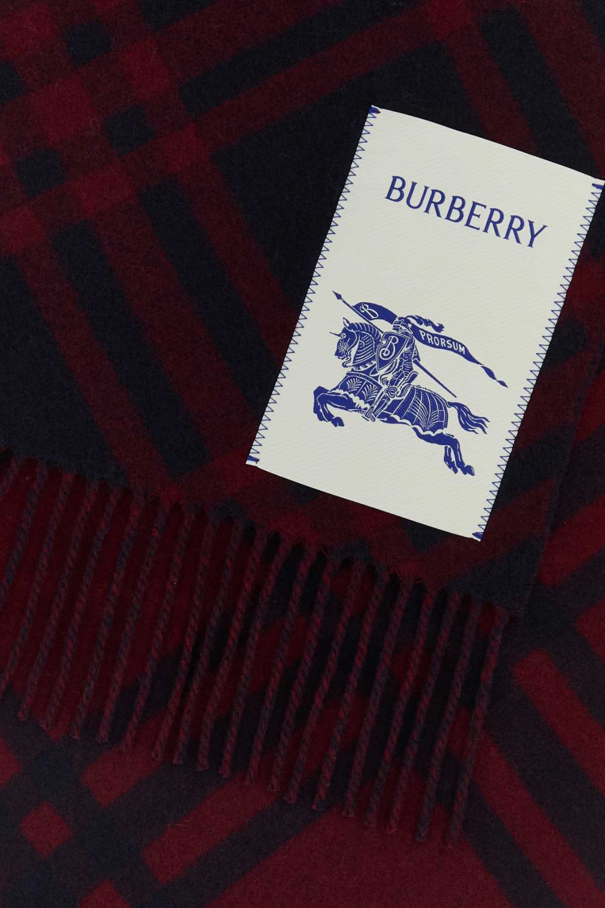 BURBERRY Embroidered Cashmere Scarf 168x30