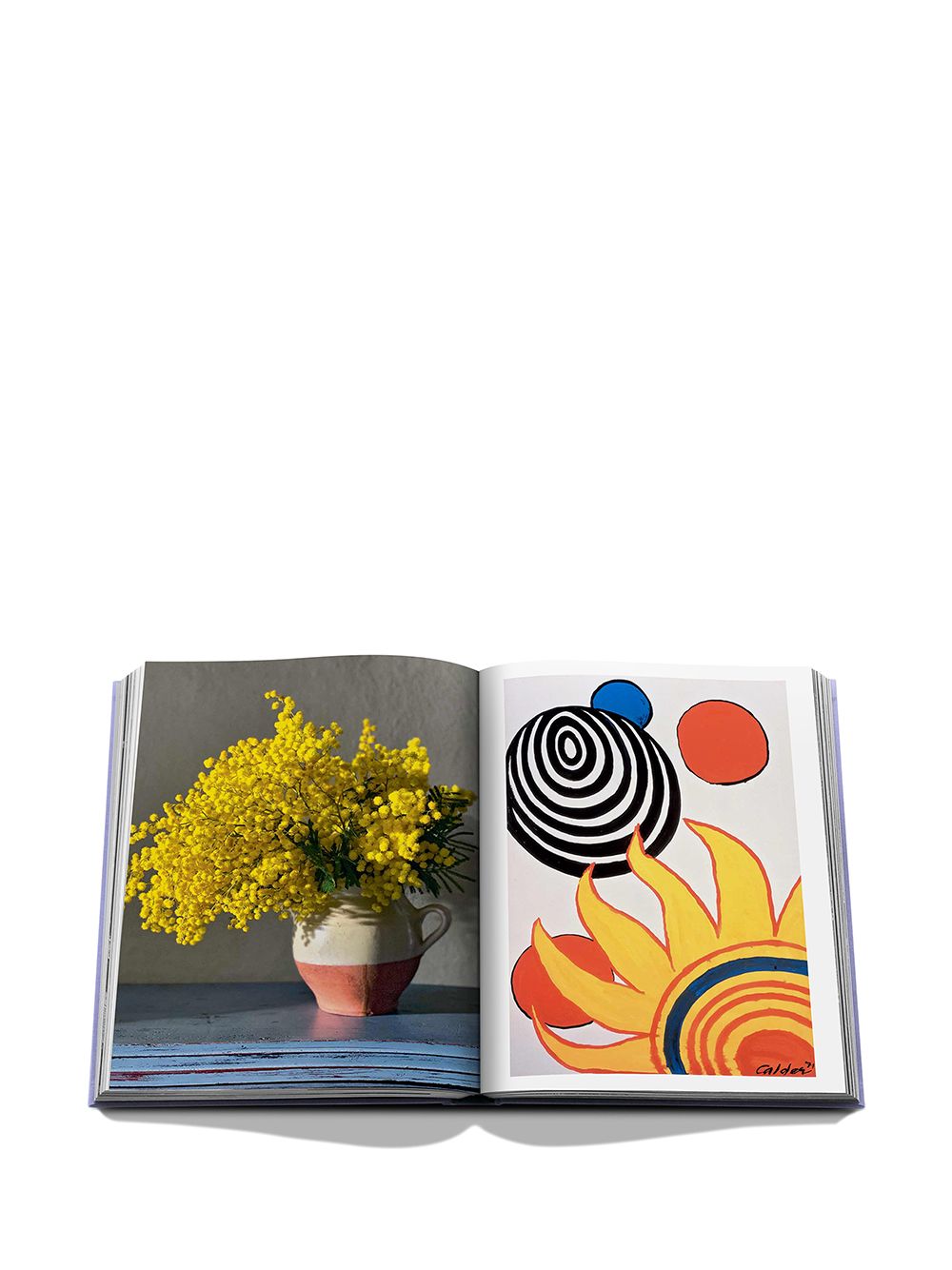 ASSOULINE Provence Glory Mini Hardback Book - 312 Pages