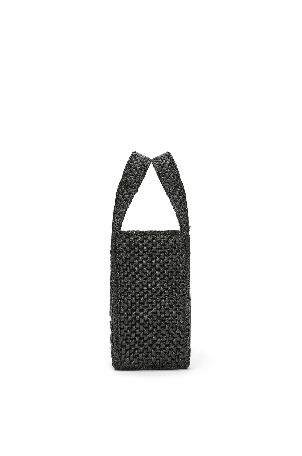 LOEWE Raffia and Leather Handbag - FW25 Collection