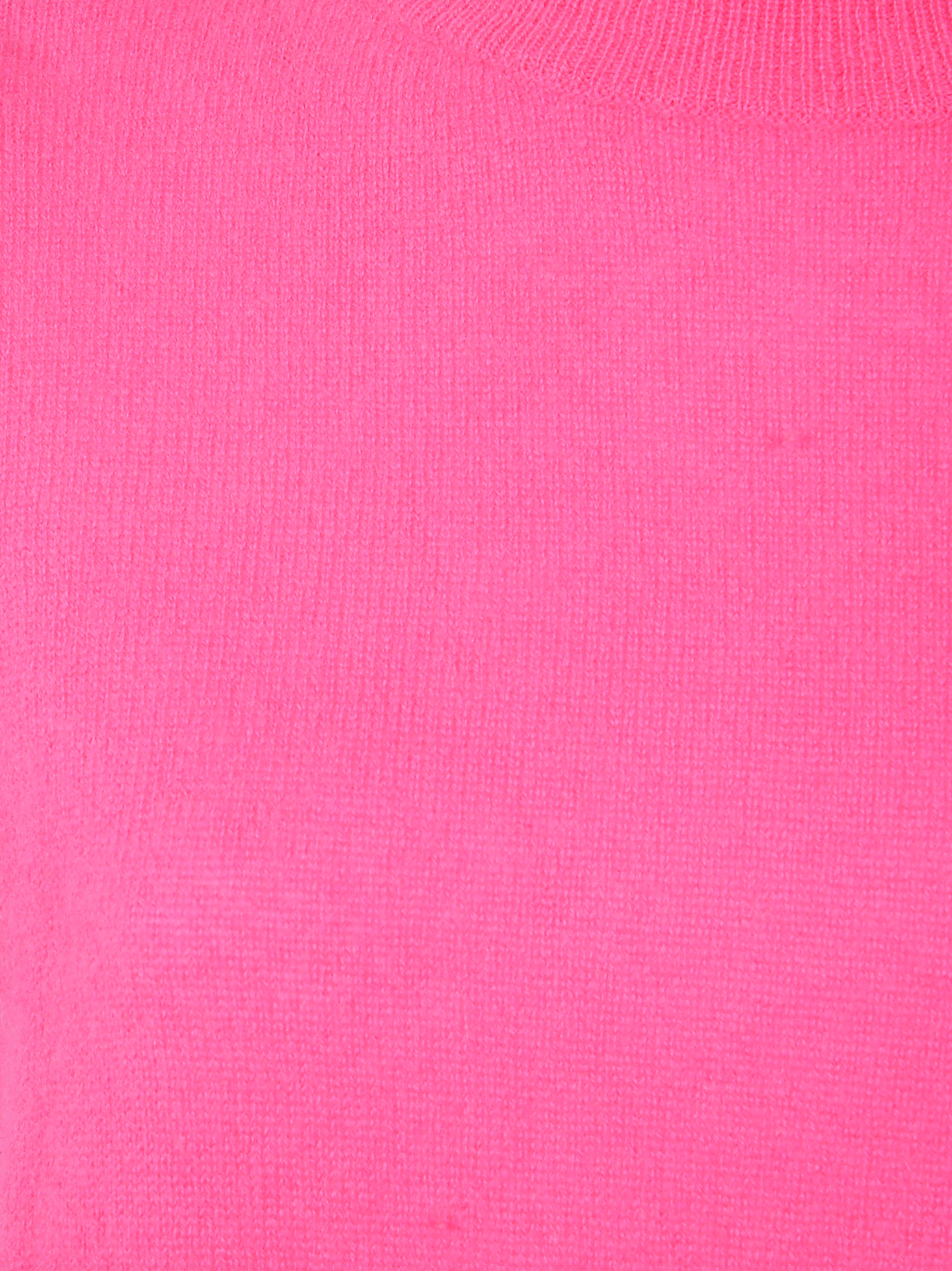 ABSOLUT CASHMERE Clara High Neck Cashmere Sweater