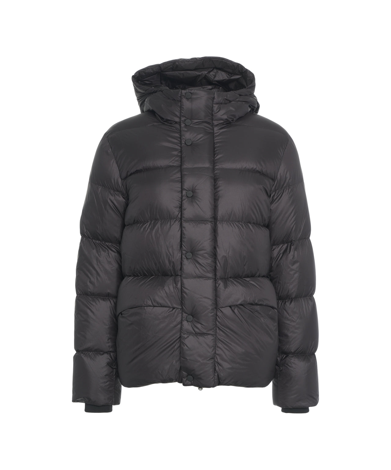 Modern Padded Jacket with Hood for Men