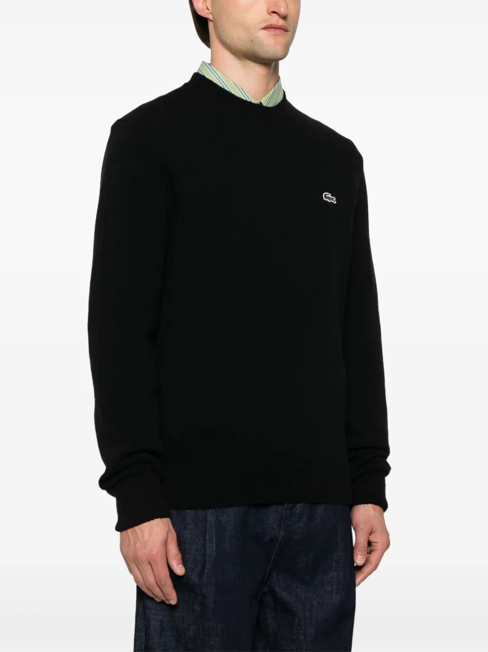 LACOSTE Wool Crew Neck Sweater for Men