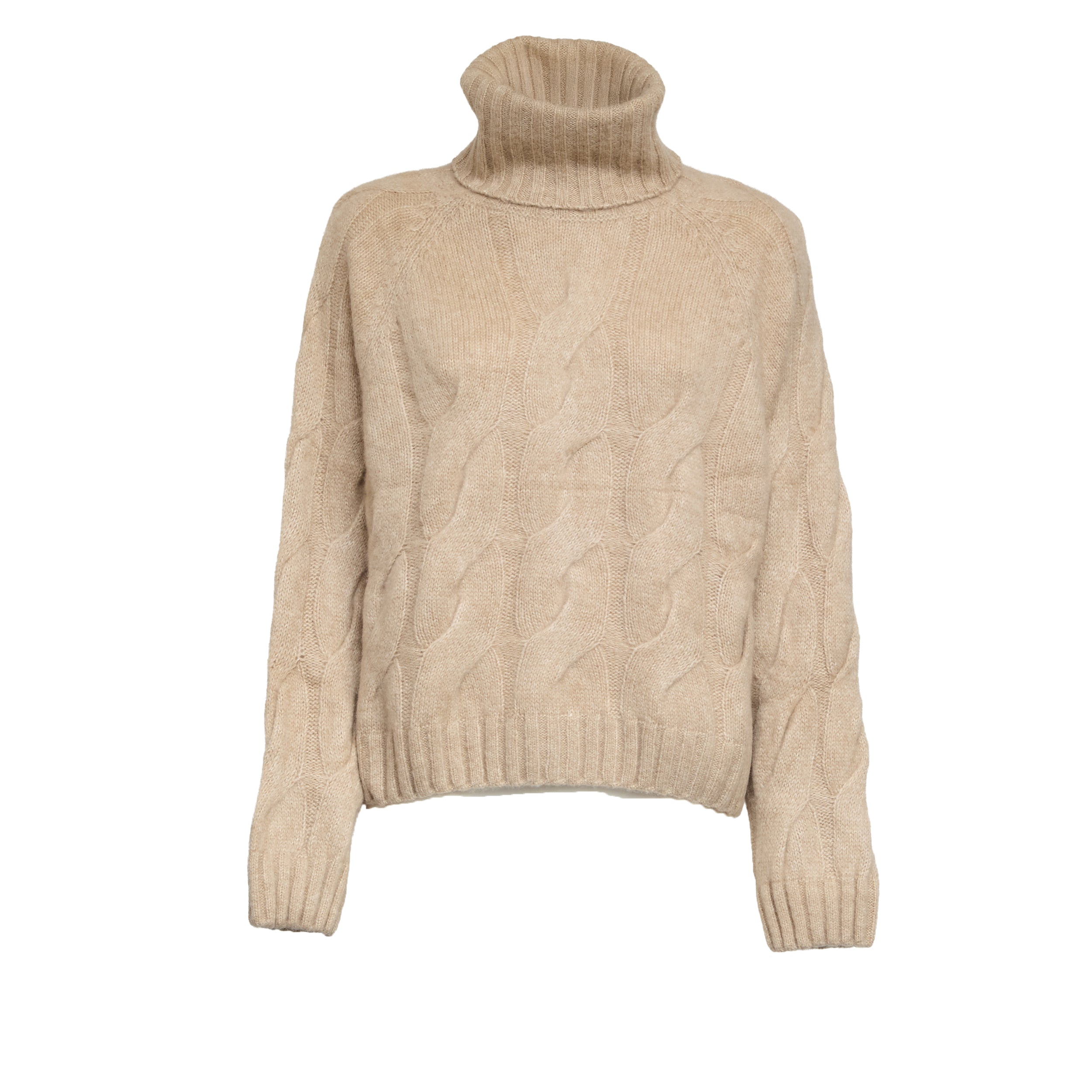 ALLUDE Cozy Oversized Turtleneck Sweater