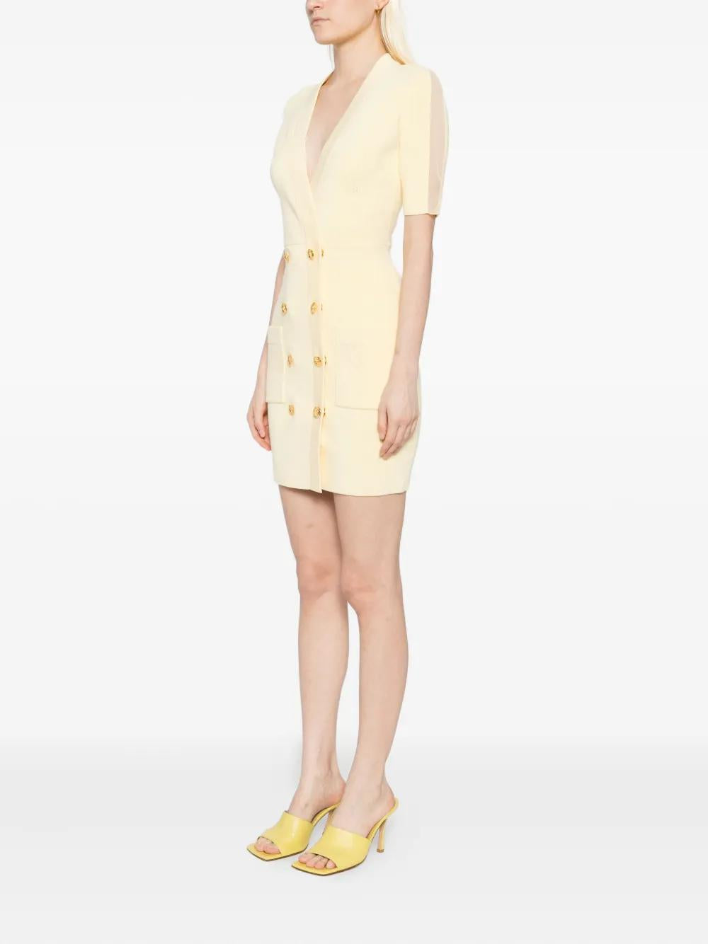 ELISABETTA FRANCHI Buttoned Tulle Insert Dress