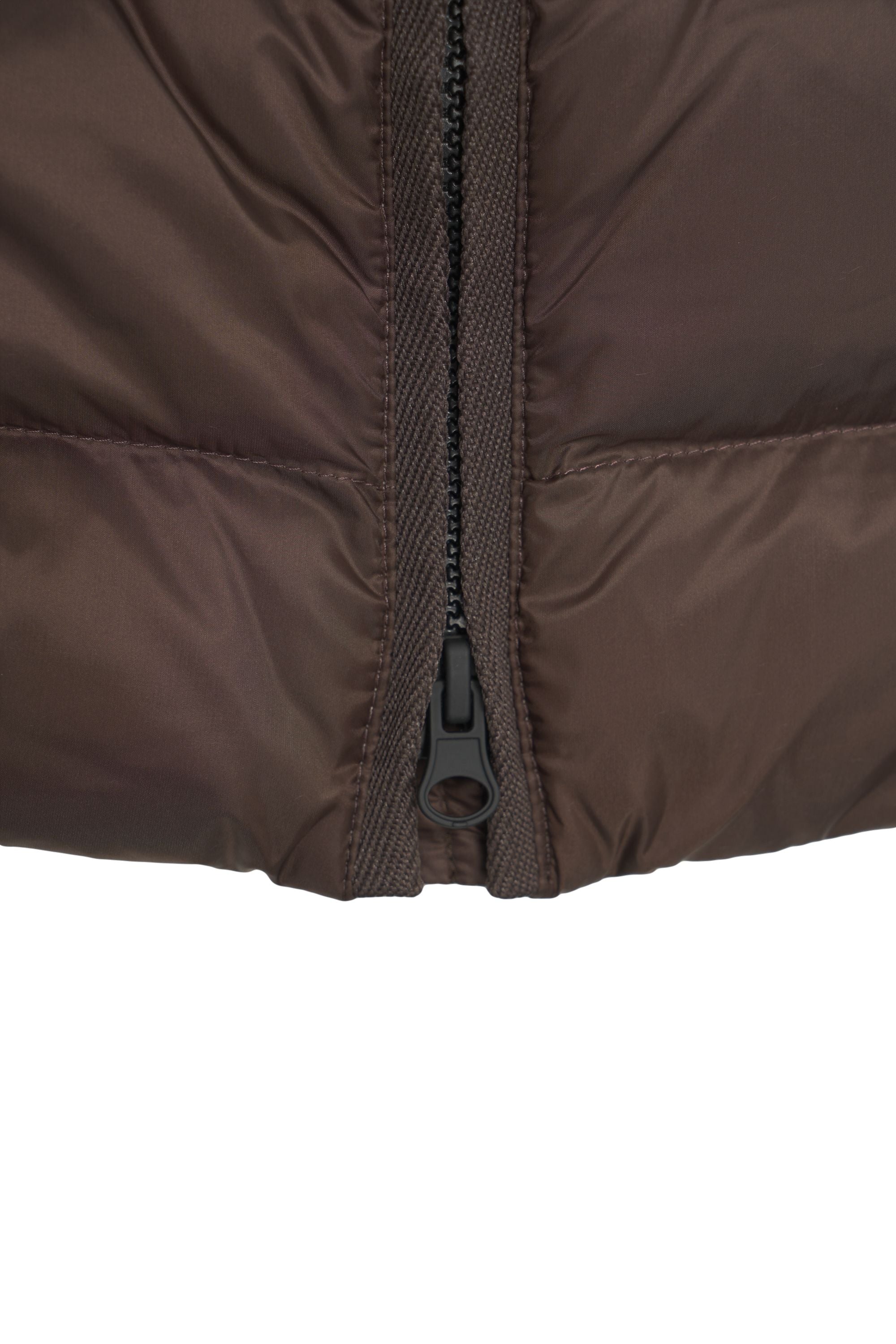 BLAUER Quilted Down Jacket with Integrated Hood for Women