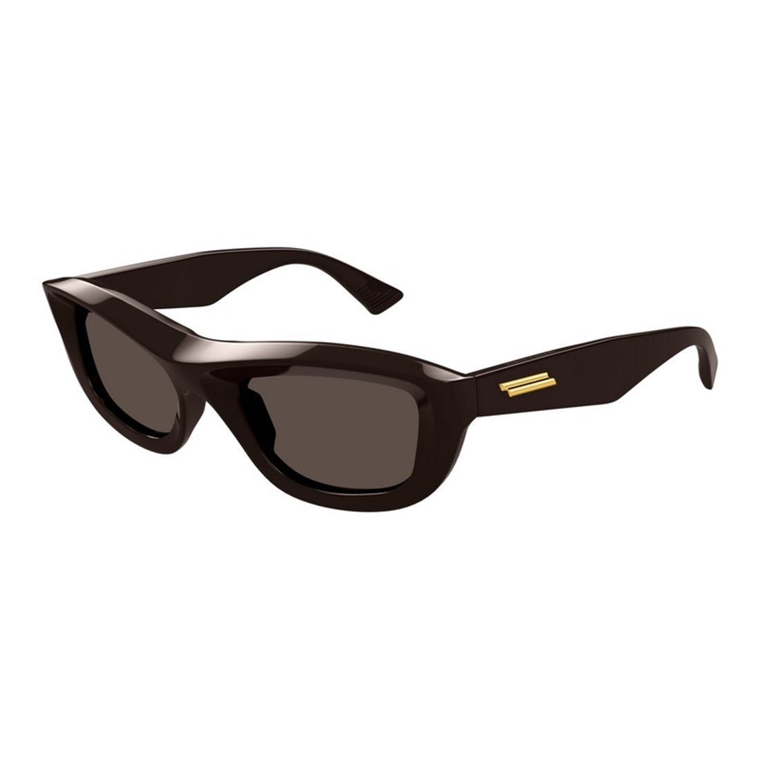 BOTTEGA VENETA Injectate Unisex Sunglasses