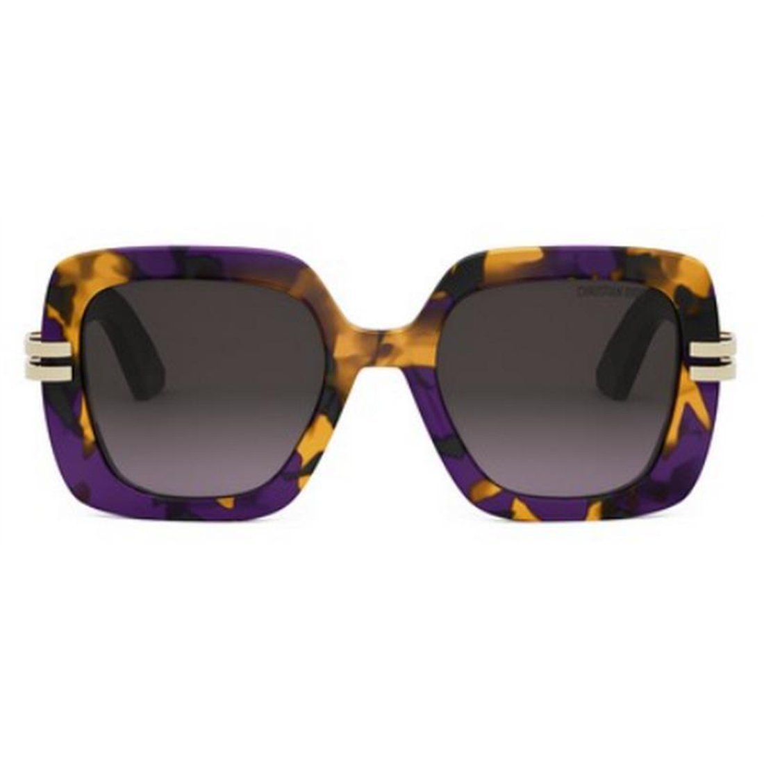 DIOR Chic Women's Acetate Sunglasses - Frame