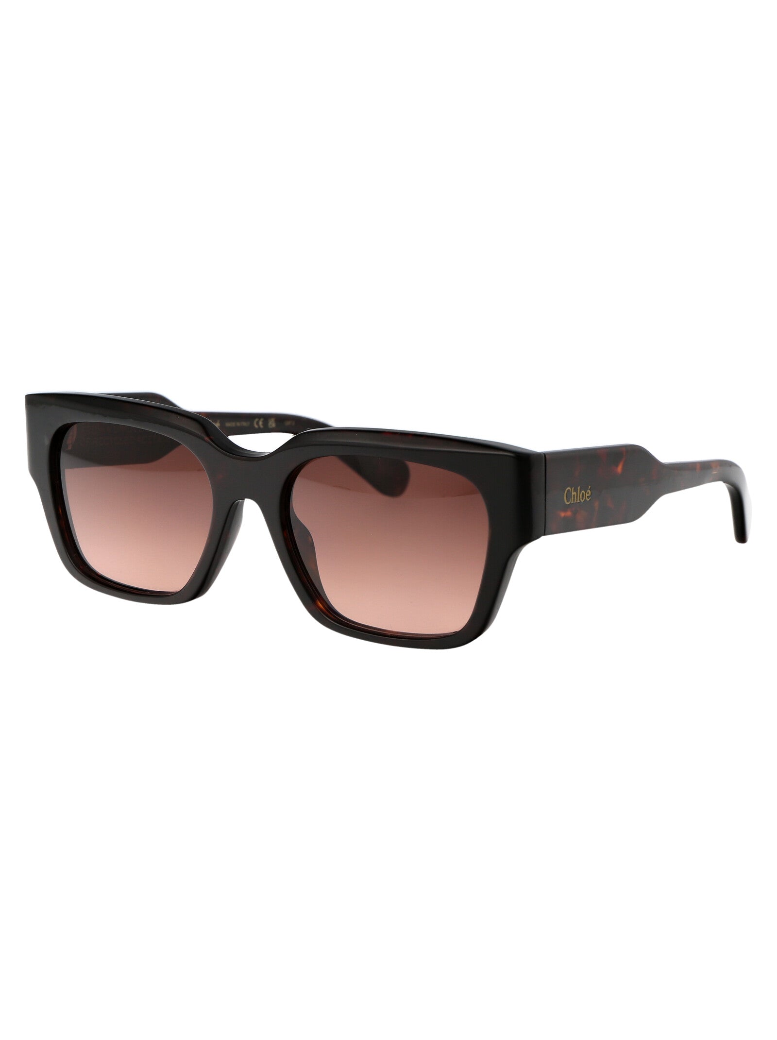 CHLOÉ Elegant Acetate Sunglasses for Women - Style CH0190S