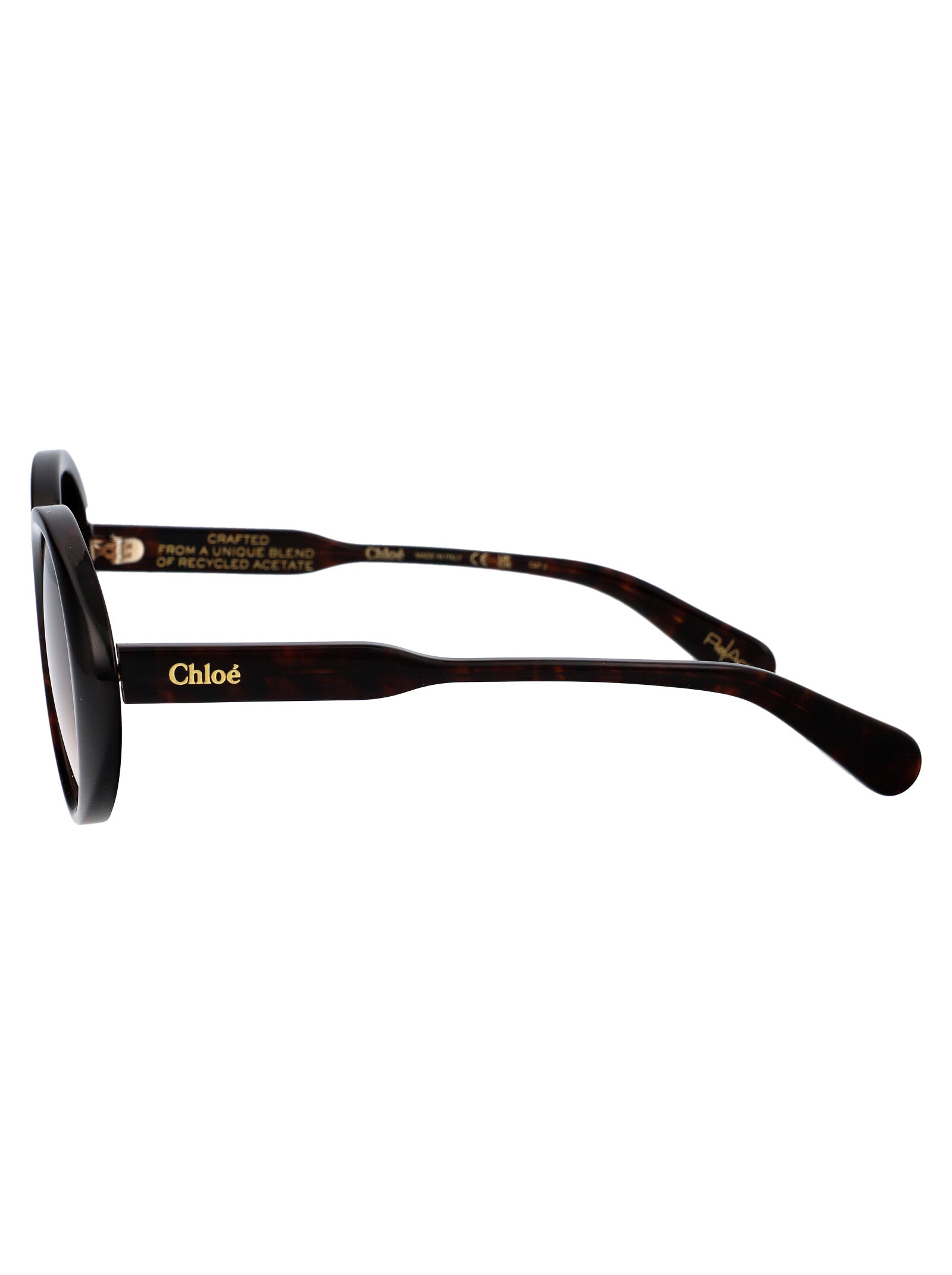 CHLOÉ Chic Acetate Havana Sunglasses for Women