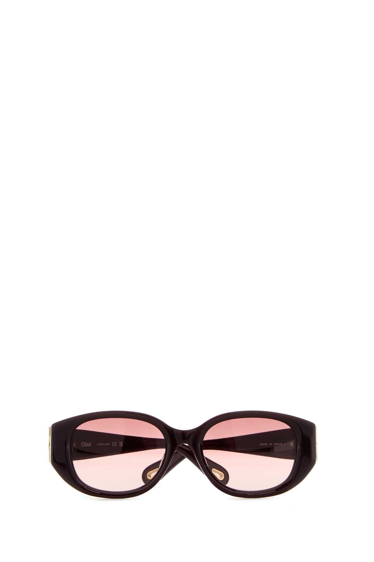 CHLOÉ Elegant Acetate Sunglasses for Women - FW25