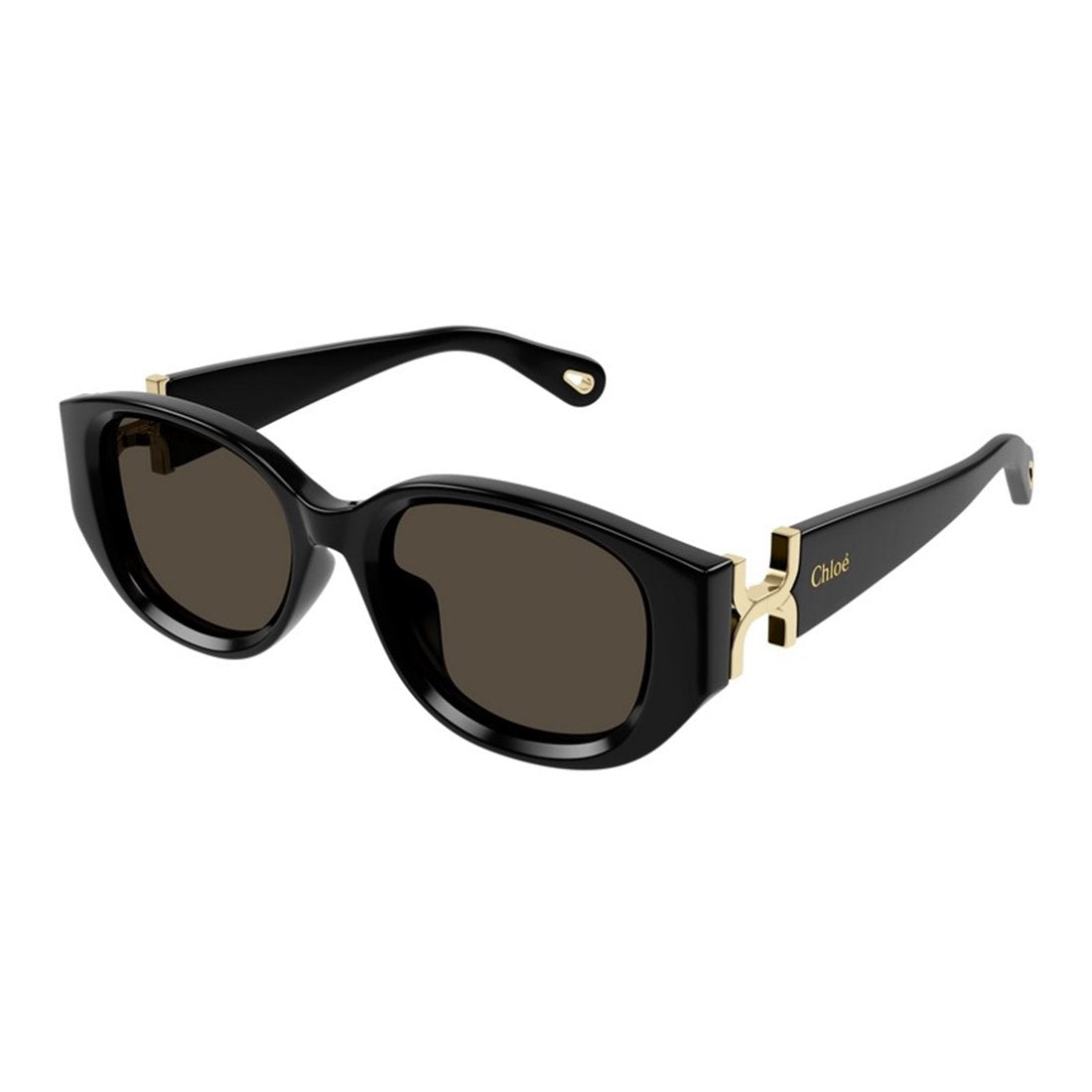 CHLOÉ Chic Women's Sunglasses