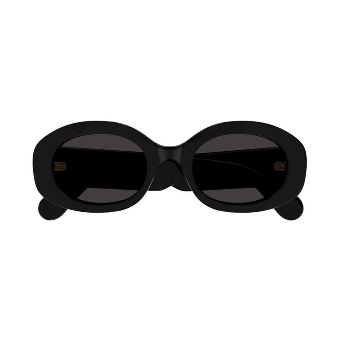 CHLOÉ Elegant Acetate Sunglasses for Women - Style CH0258S