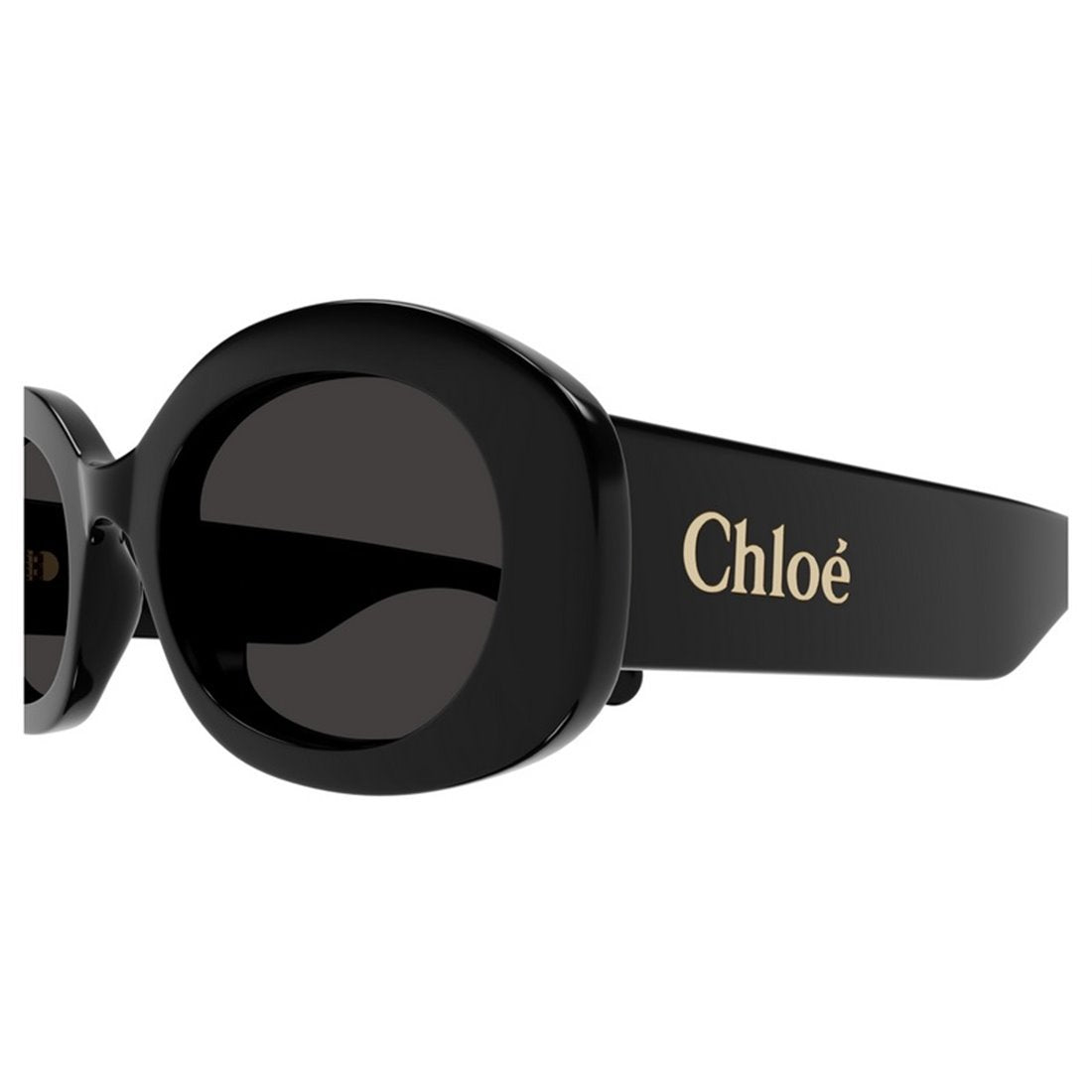 CHLOÉ Elegant Acetate Sunglasses for Women - Style CH0258S