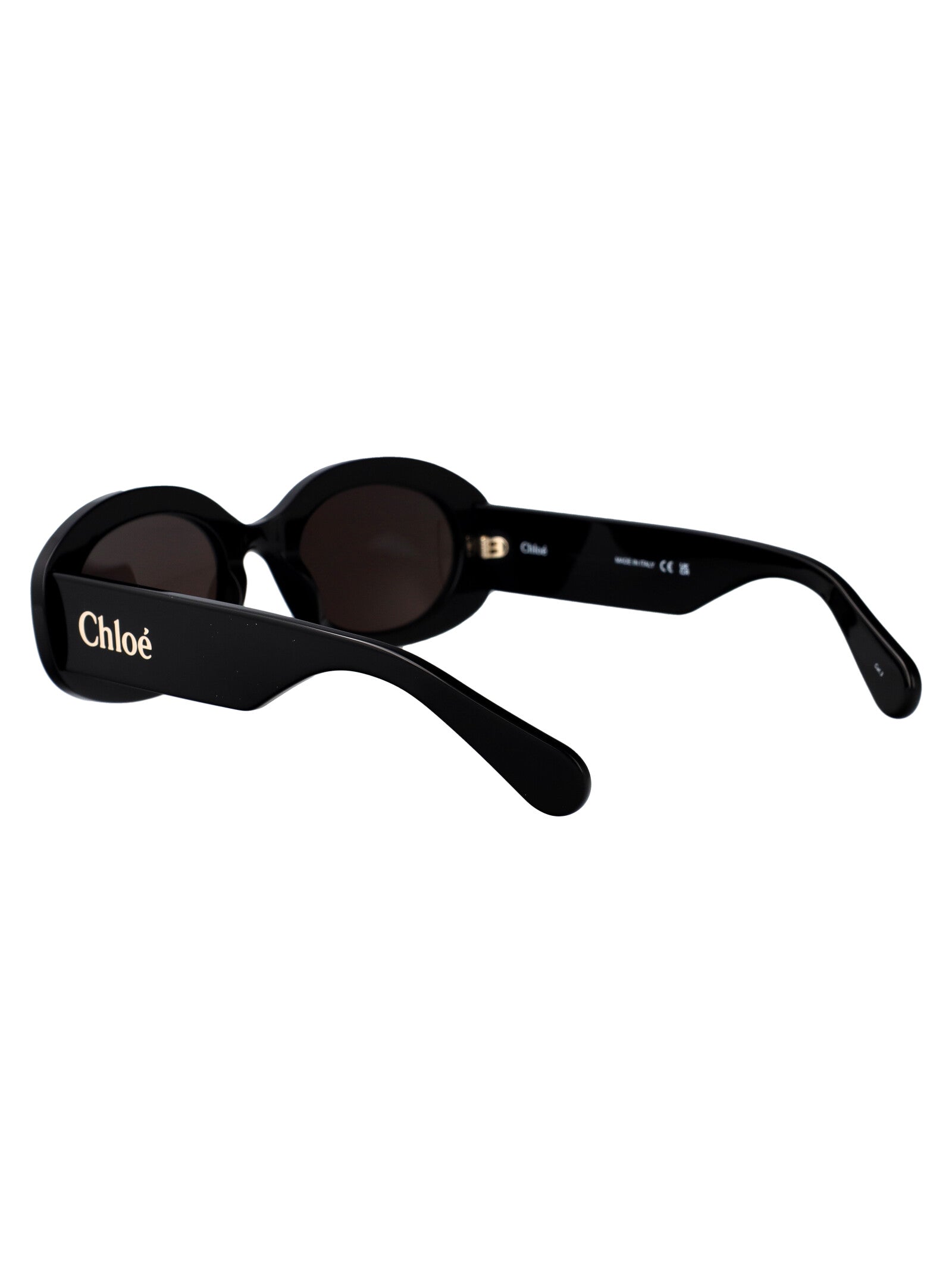CHLOÉ Elegant Acetate Sunglasses for Women - Style CH0258S
