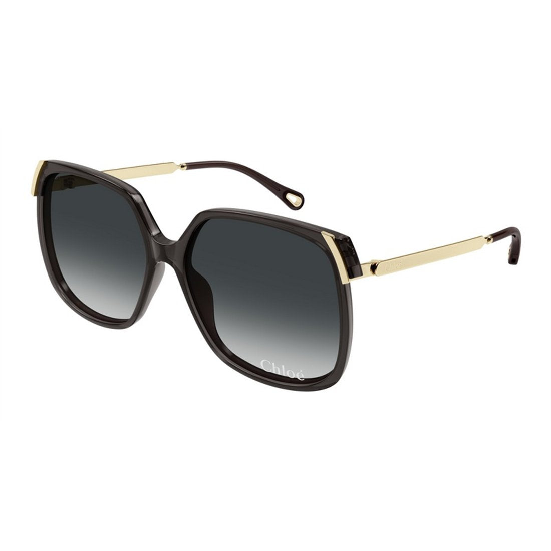 CHLOÉ Chic Women's Sunglasses