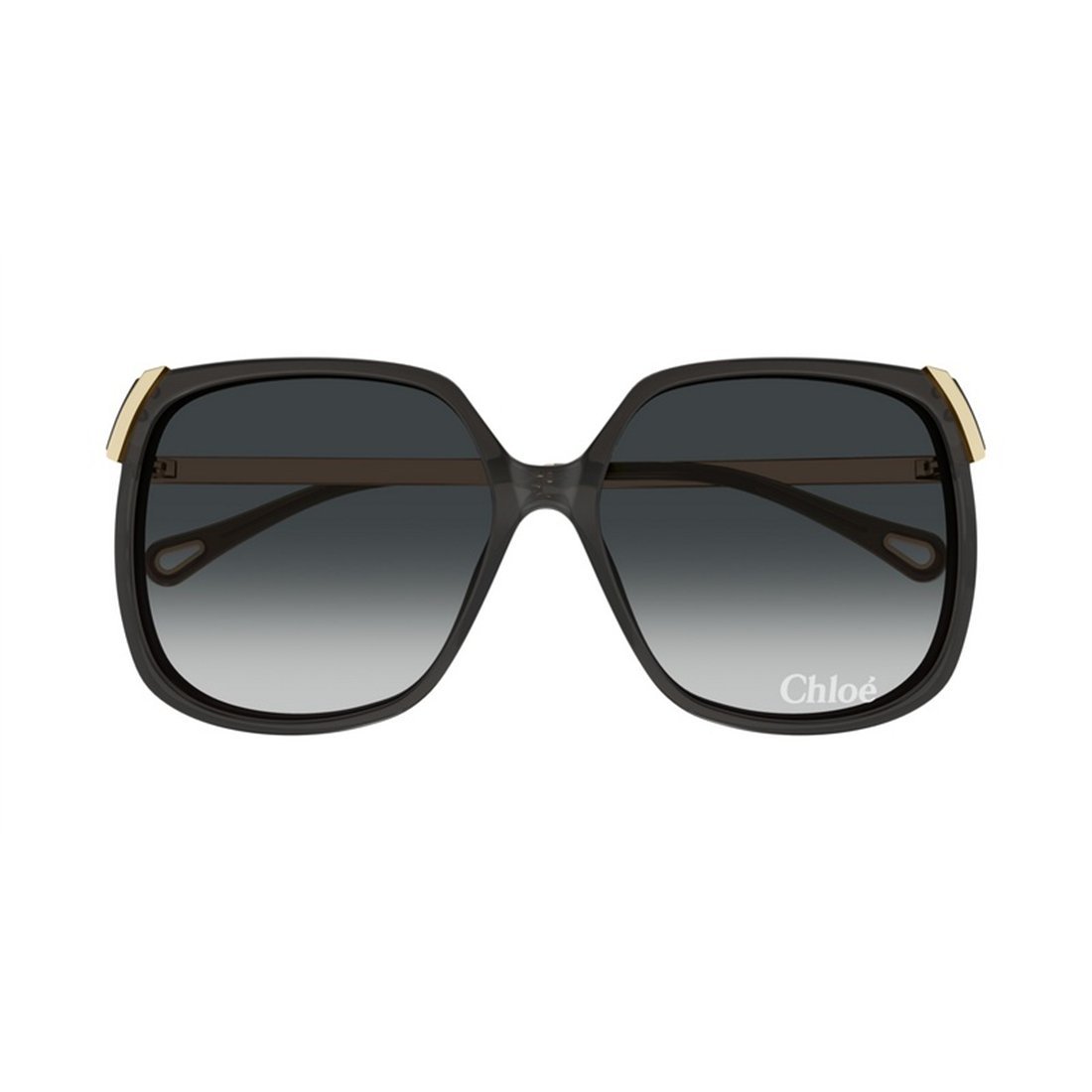 CHLOÉ Chic Women's Sunglasses