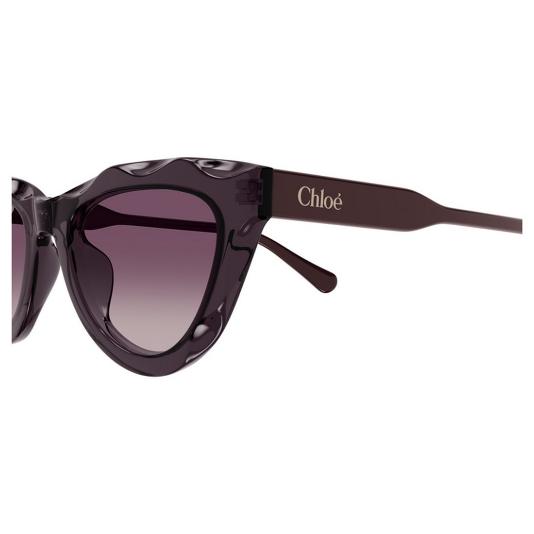 CHLOÉ Chic Women's Sunglasses
