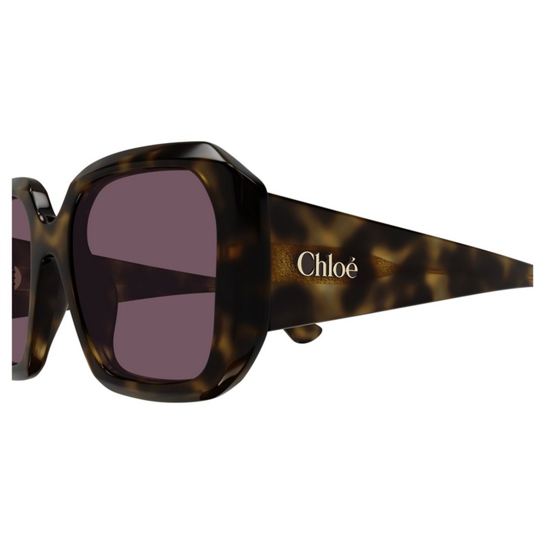 CHLOÉ Stylish Women's Sunglasses - Chic Havana Frame