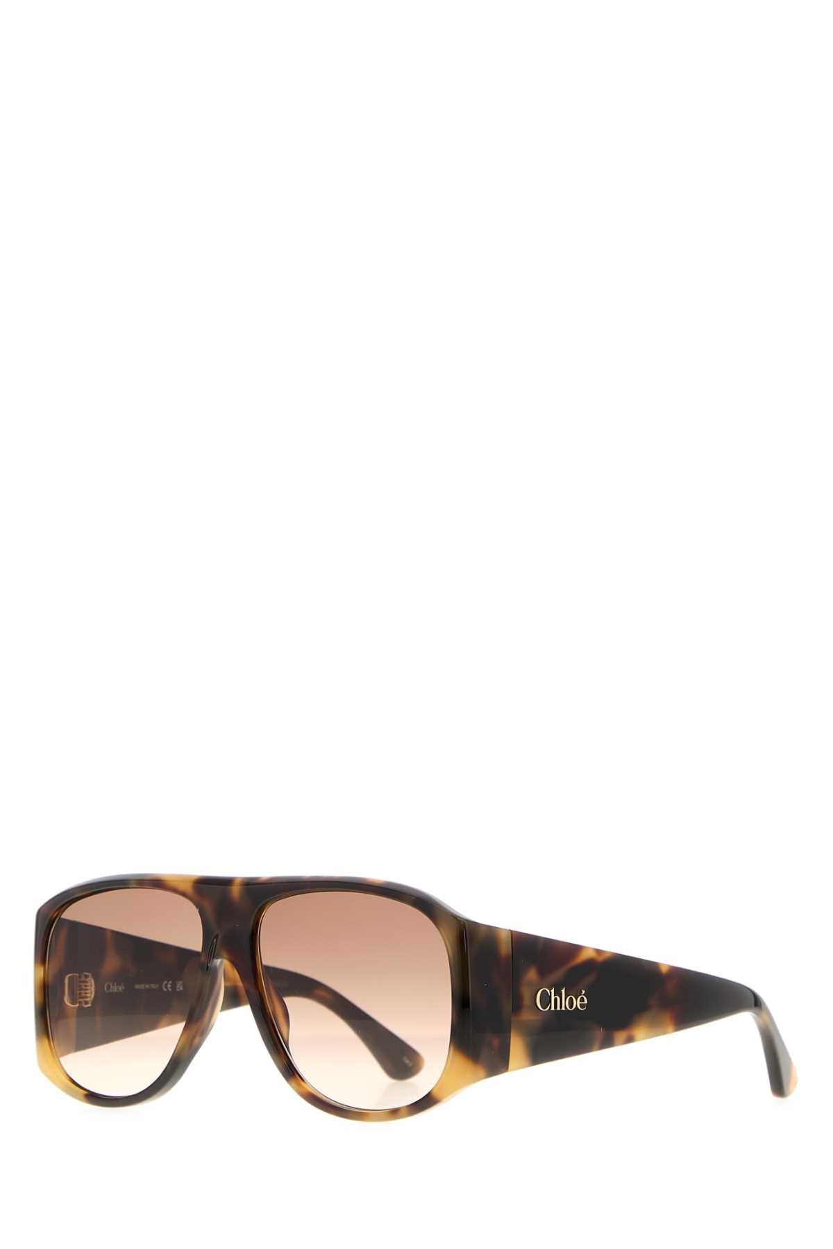 CHLOÉ Printed Acetate Sunglasses for Women