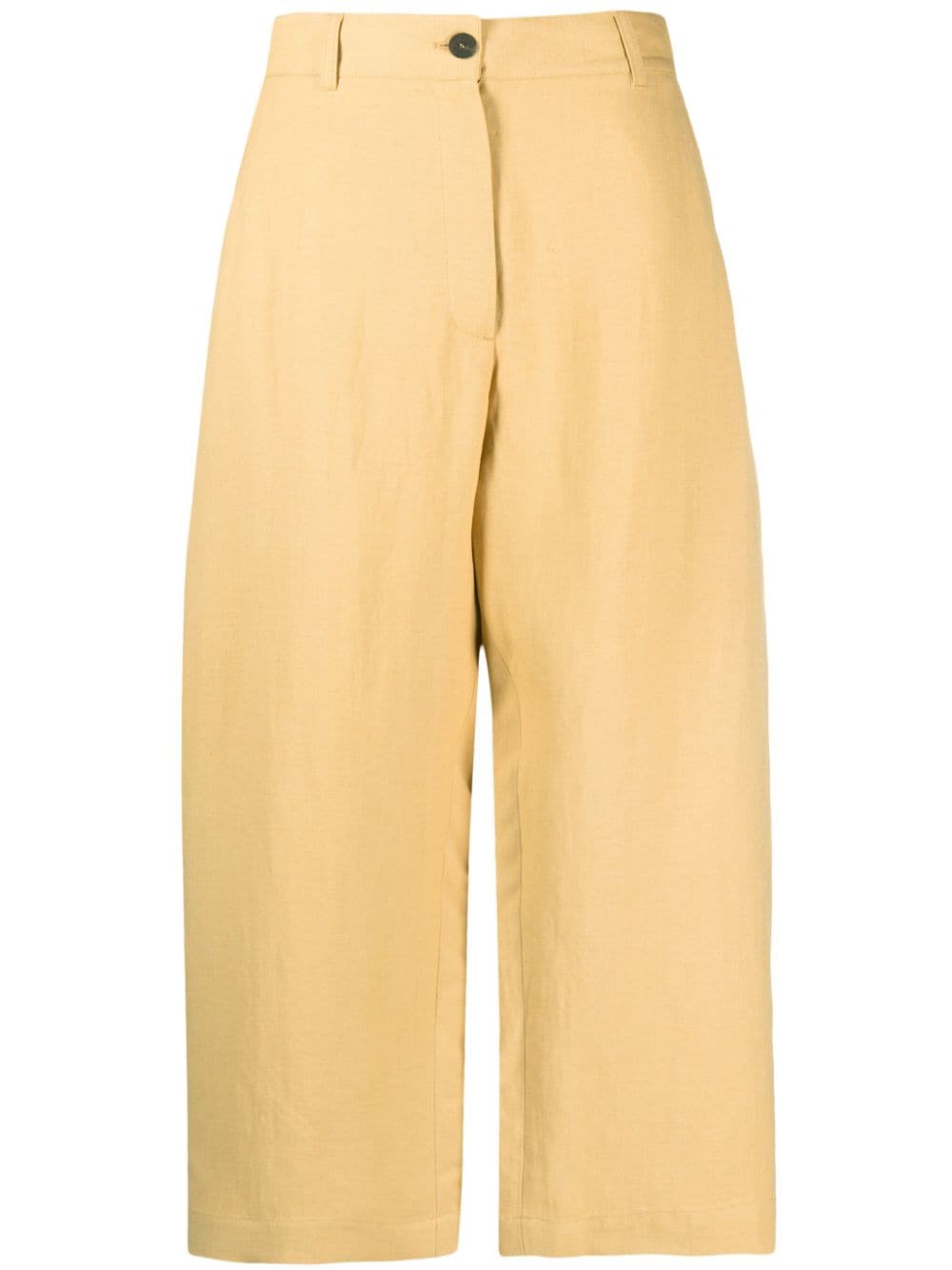 STUDIO NICHOLSON High Waist Wide Leg Cropped Trousers