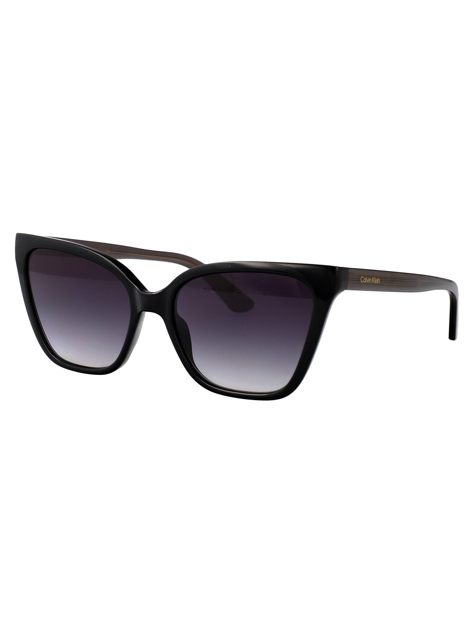 CALVIN KLEIN Acetate Sunglasses for Women - CK24507S Model