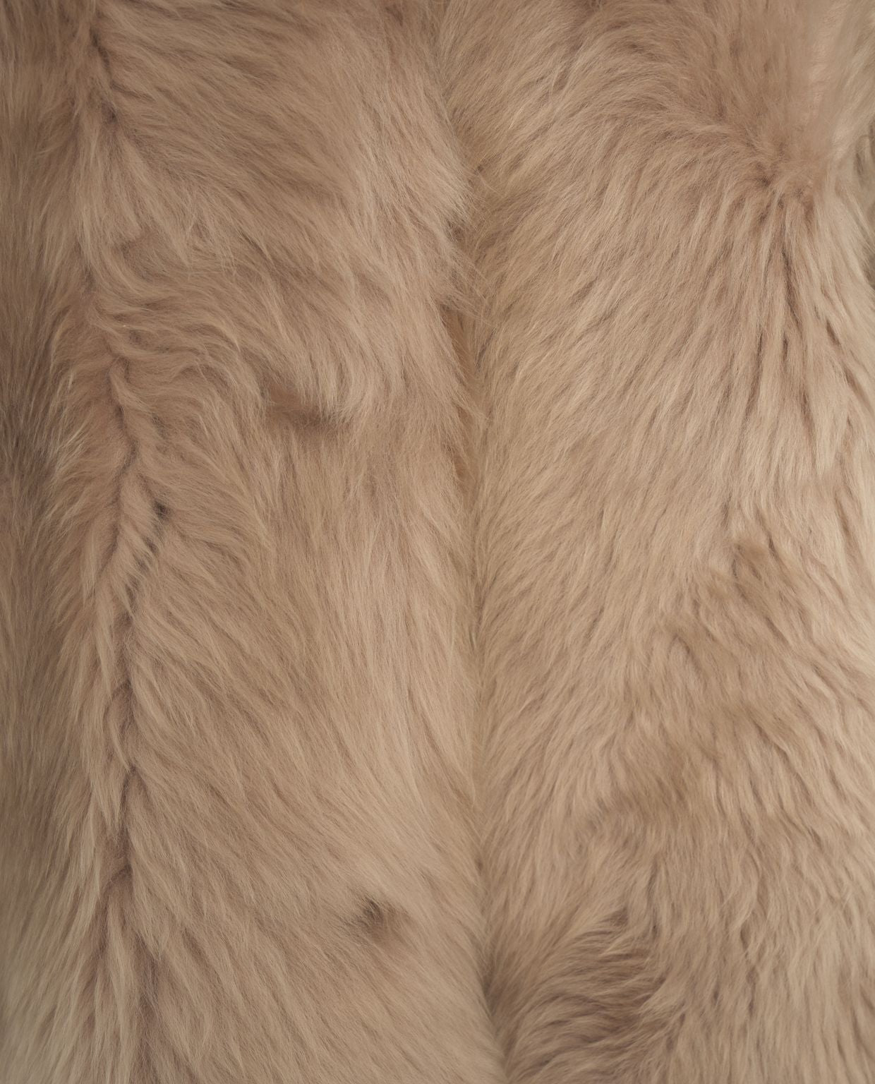 DESA 1972 Luxurious Lamb Fur Jacket with Scarf Collar