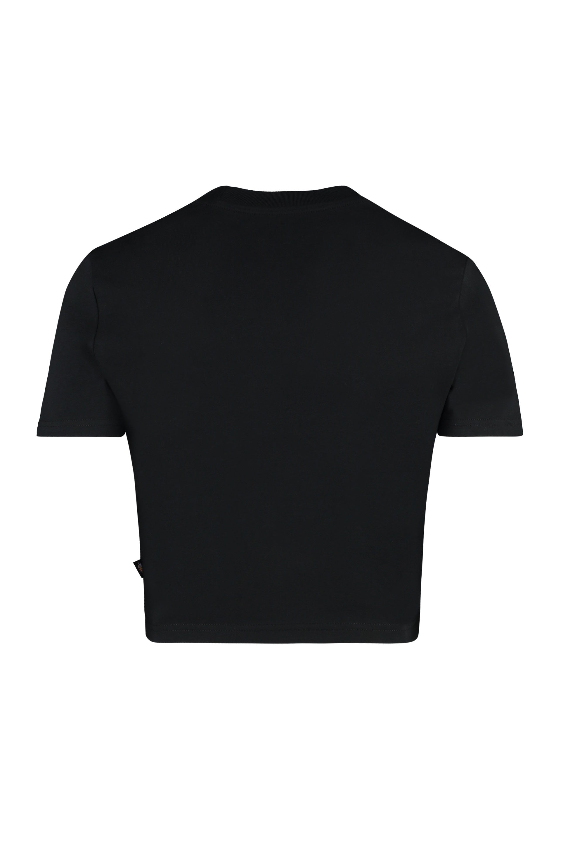 DICKIES Maple Valley Mini Logo Detail Cropped T-Shirt