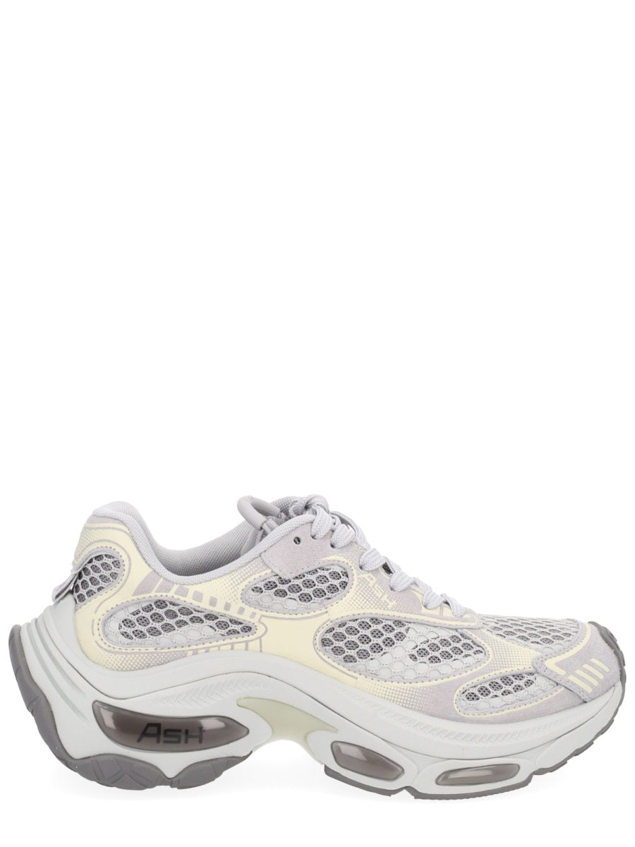 Ash Dragon Sneaker for Women