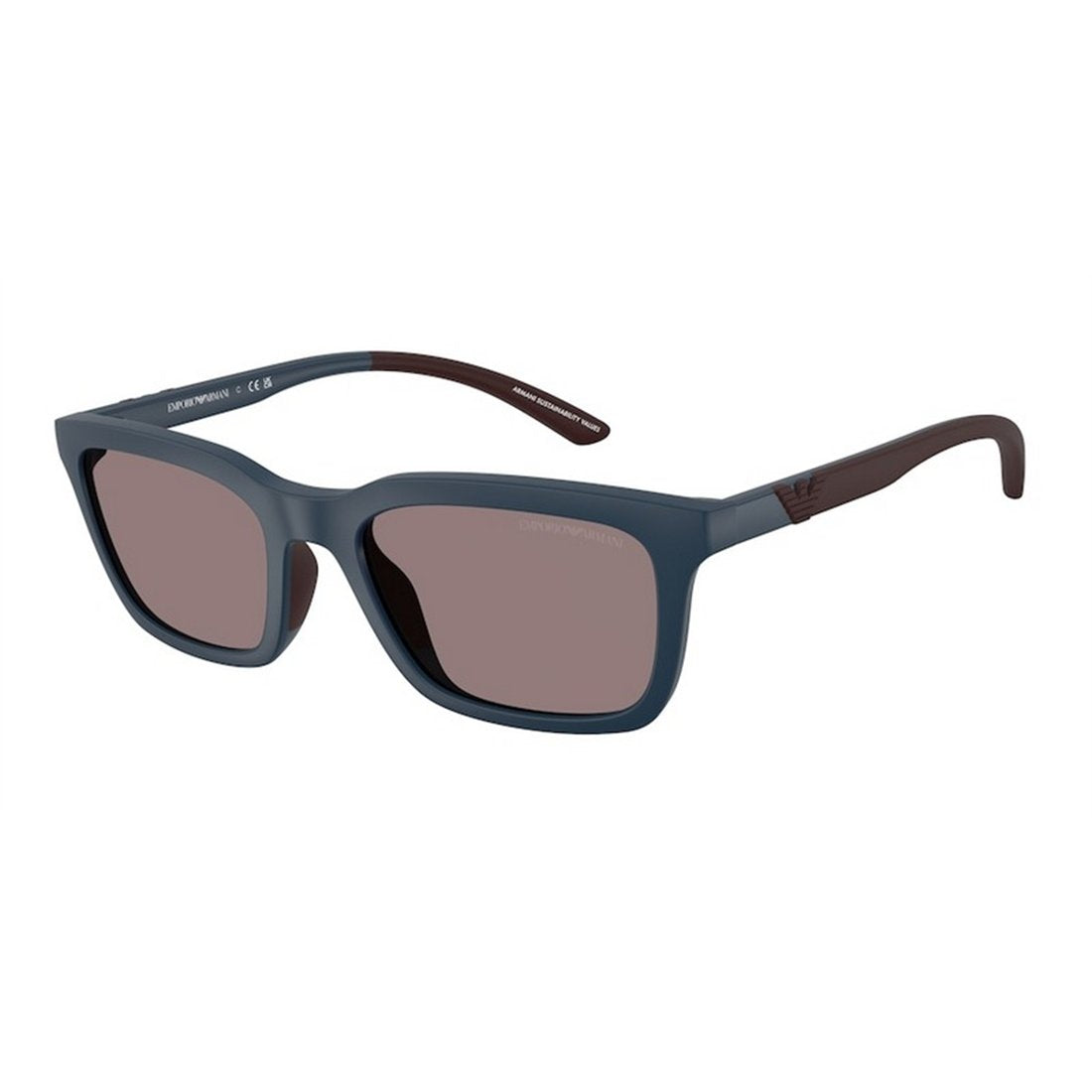 EMPORIO ARMANI EA4249U Sunglasses for Men