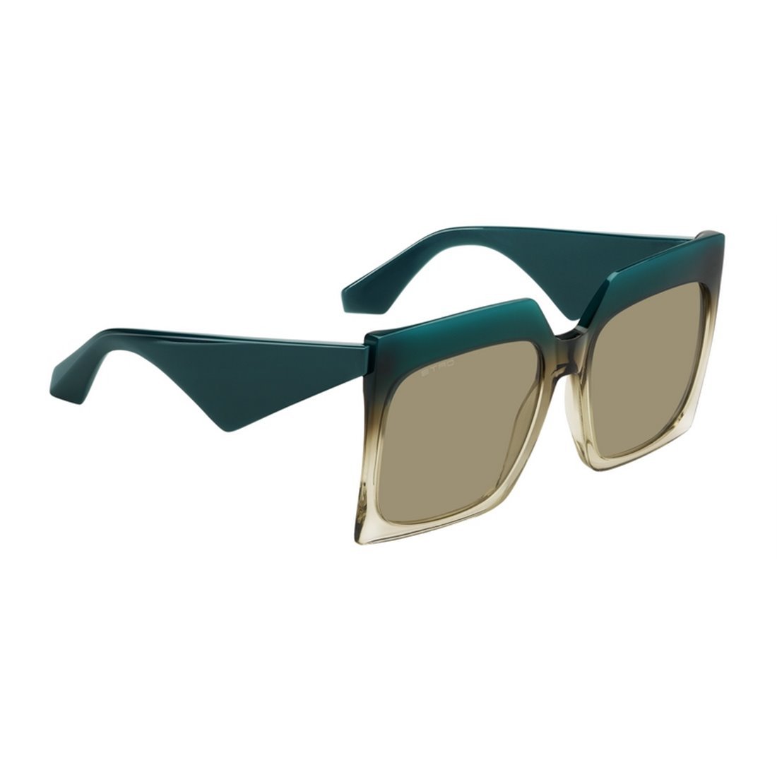 ETRO Chic Women's Acetate Sunglasses