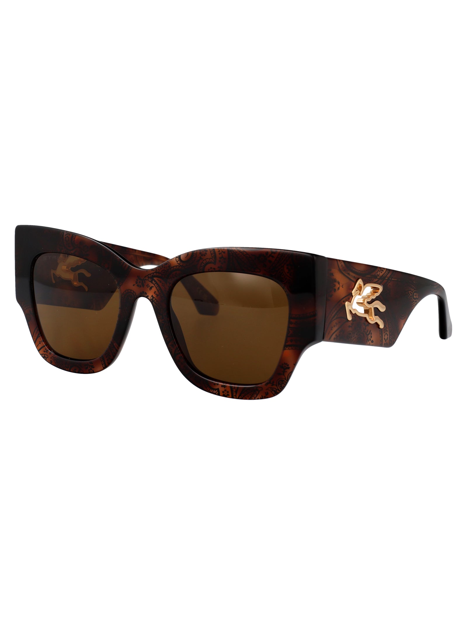 ETRO Pattern Havana Acetate Sunglasses for Women