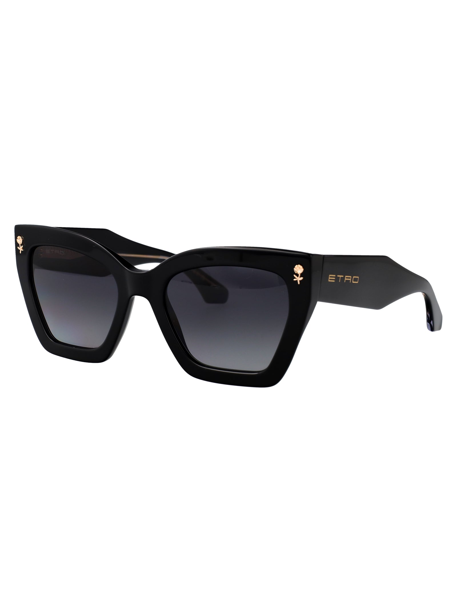 ETRO Chic Acetate Sunglasses for Women