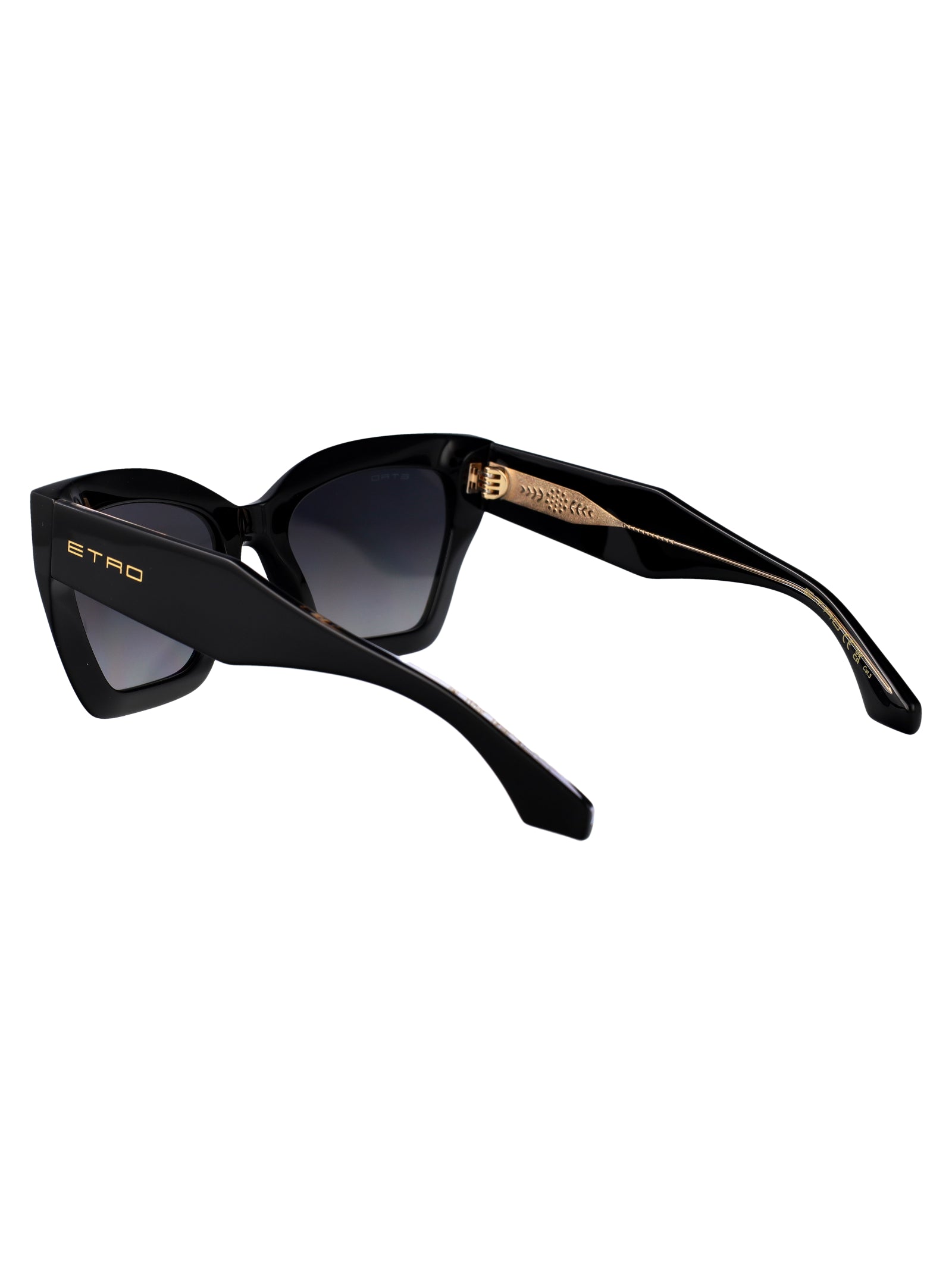 ETRO Chic Acetate Sunglasses for Women